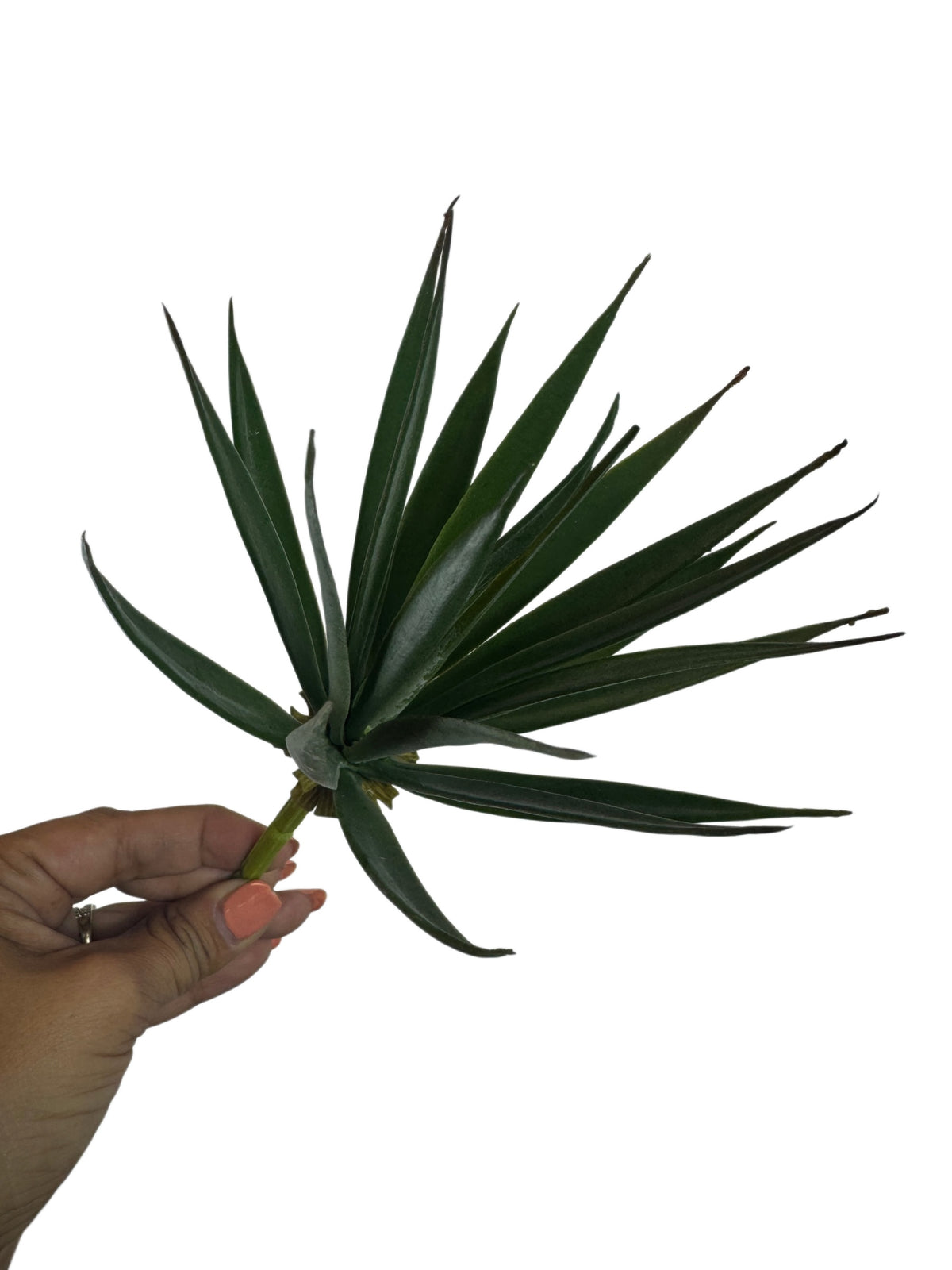 Artificial Bloom forest green faux succulent stem with long pointed leaves held in a hand against a white background