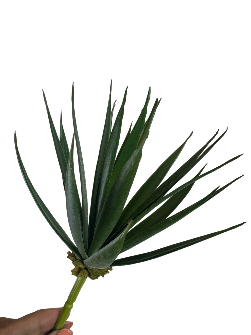 Artificial Bloom forest green faux succulent stem with long pointed leaves held against a white background