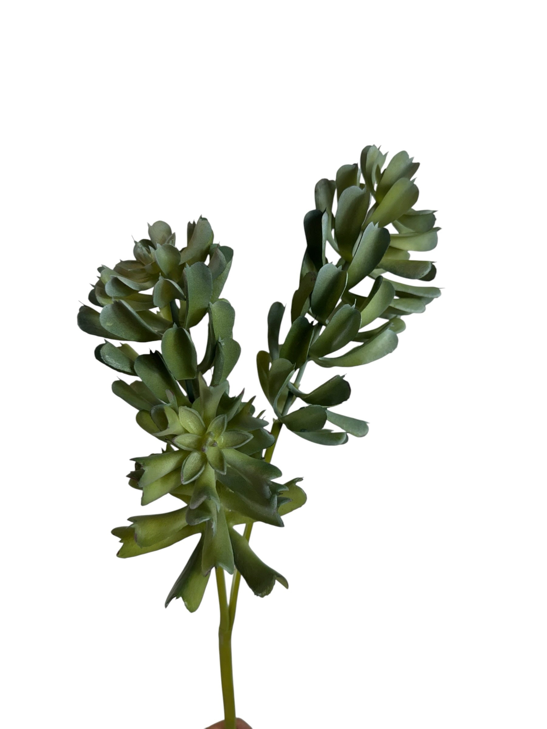 Artificial Bloom artificial succulent stem with realistic green layered foliage for home decor