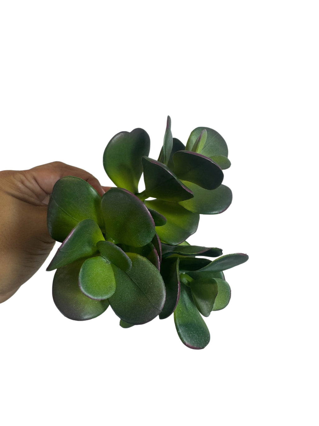 Artificial Bloom artificial jade succulent stem with thick green leaves and purple-toned edges held in a hand