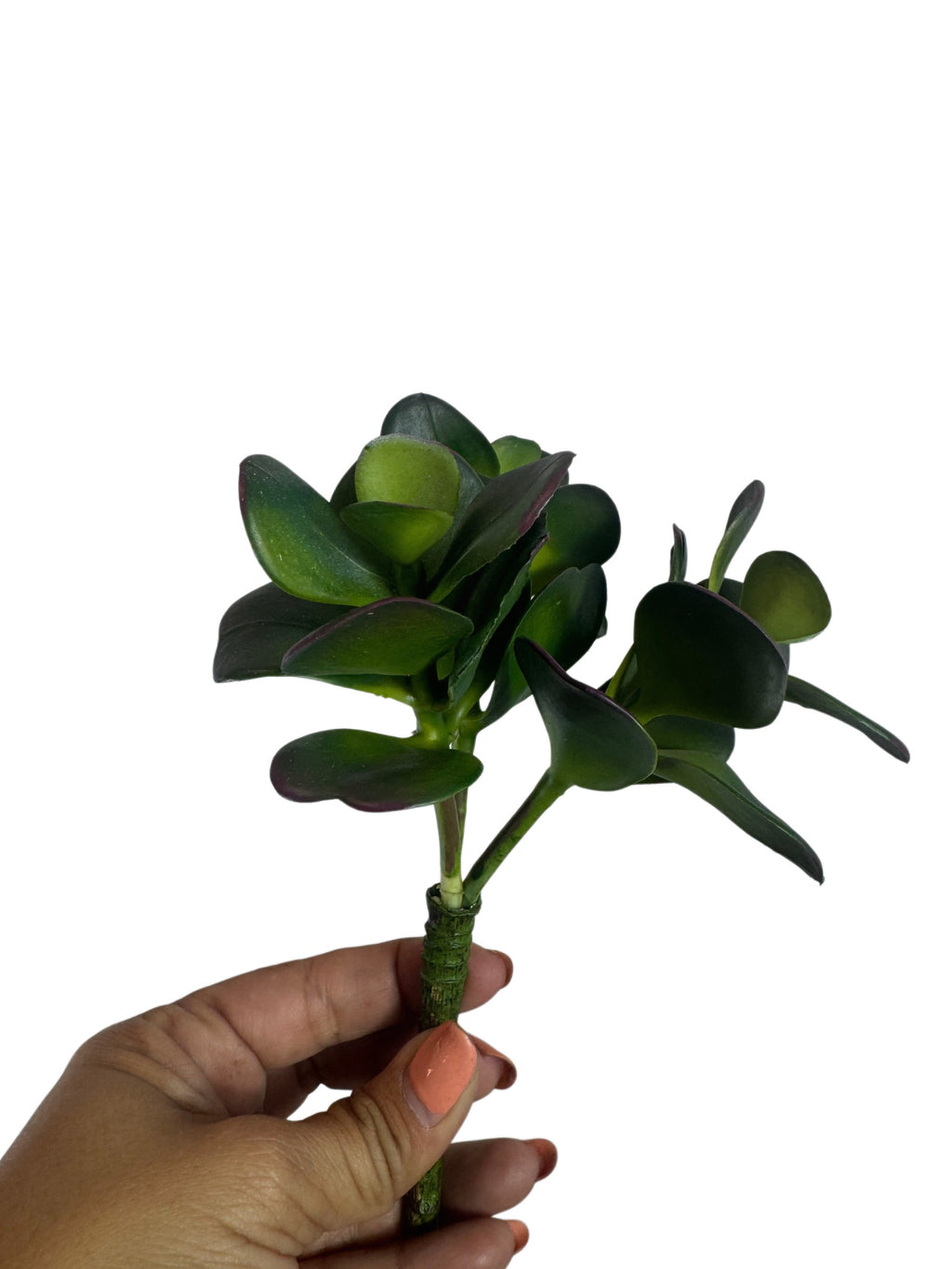 Artificial Bloom artificial jade succulent stem with deep green fleshy leaves and purple edges held in a hand
