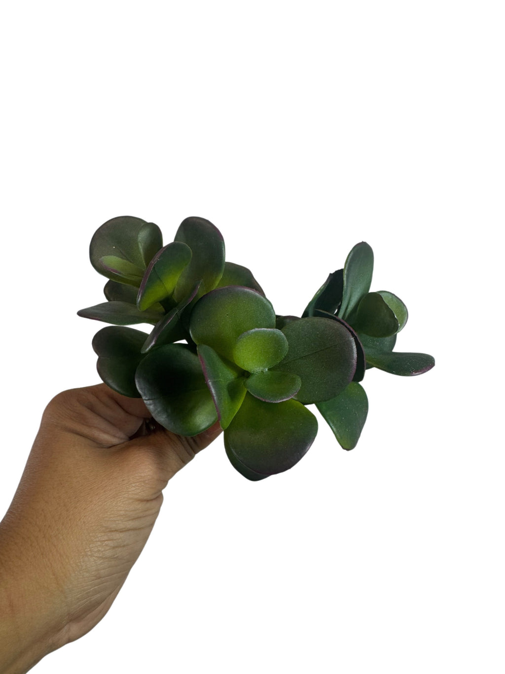 Artificial Bloom artificial jade succulent stem with deep green fleshy leaves and purple-toned edges held by a hand