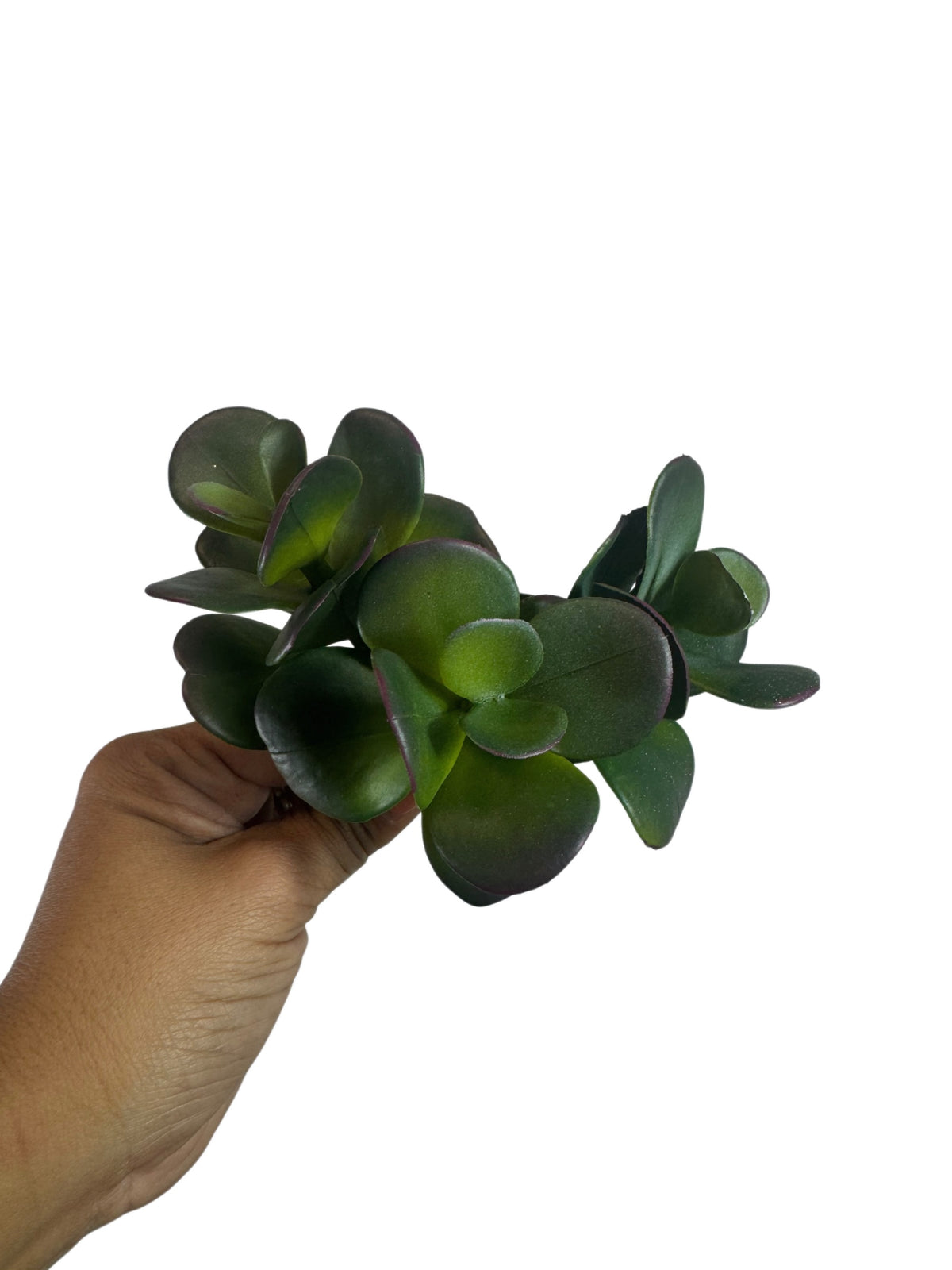 Artificial Bloom artificial jade succulent stem with deep green fleshy leaves and purple-toned edges held by a hand