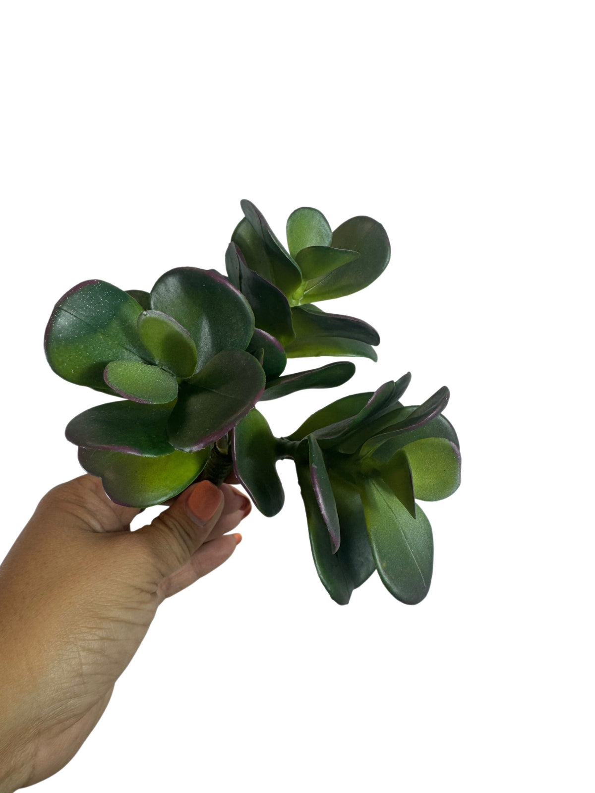 Artificial Bloom artificial jade succulent stem with deep green fleshy leaves and realistic purple-toned edges