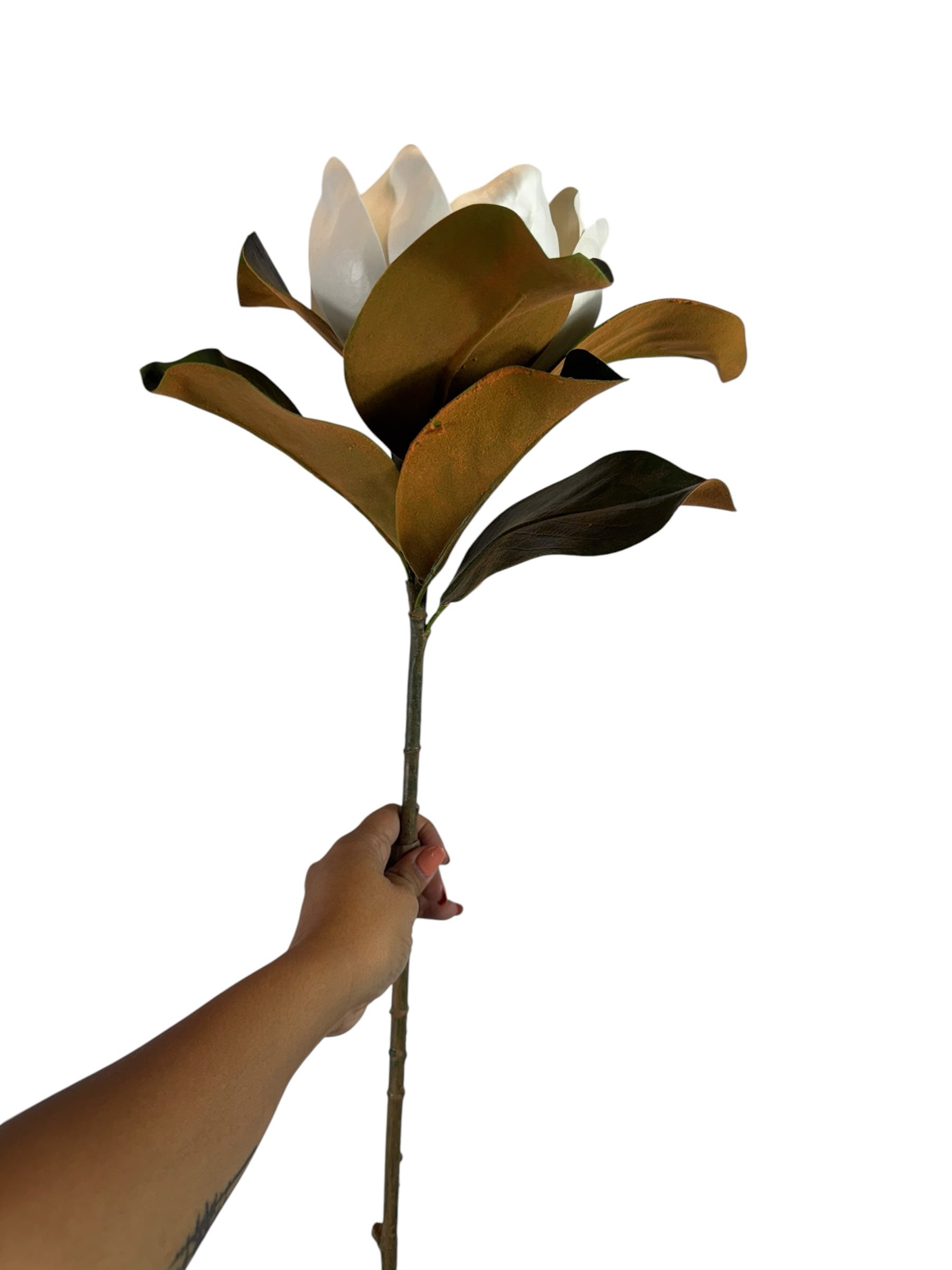 Artificial Bloom magnolia stem with a creamy white flower and realistic green leaves with brown undersides held by hand