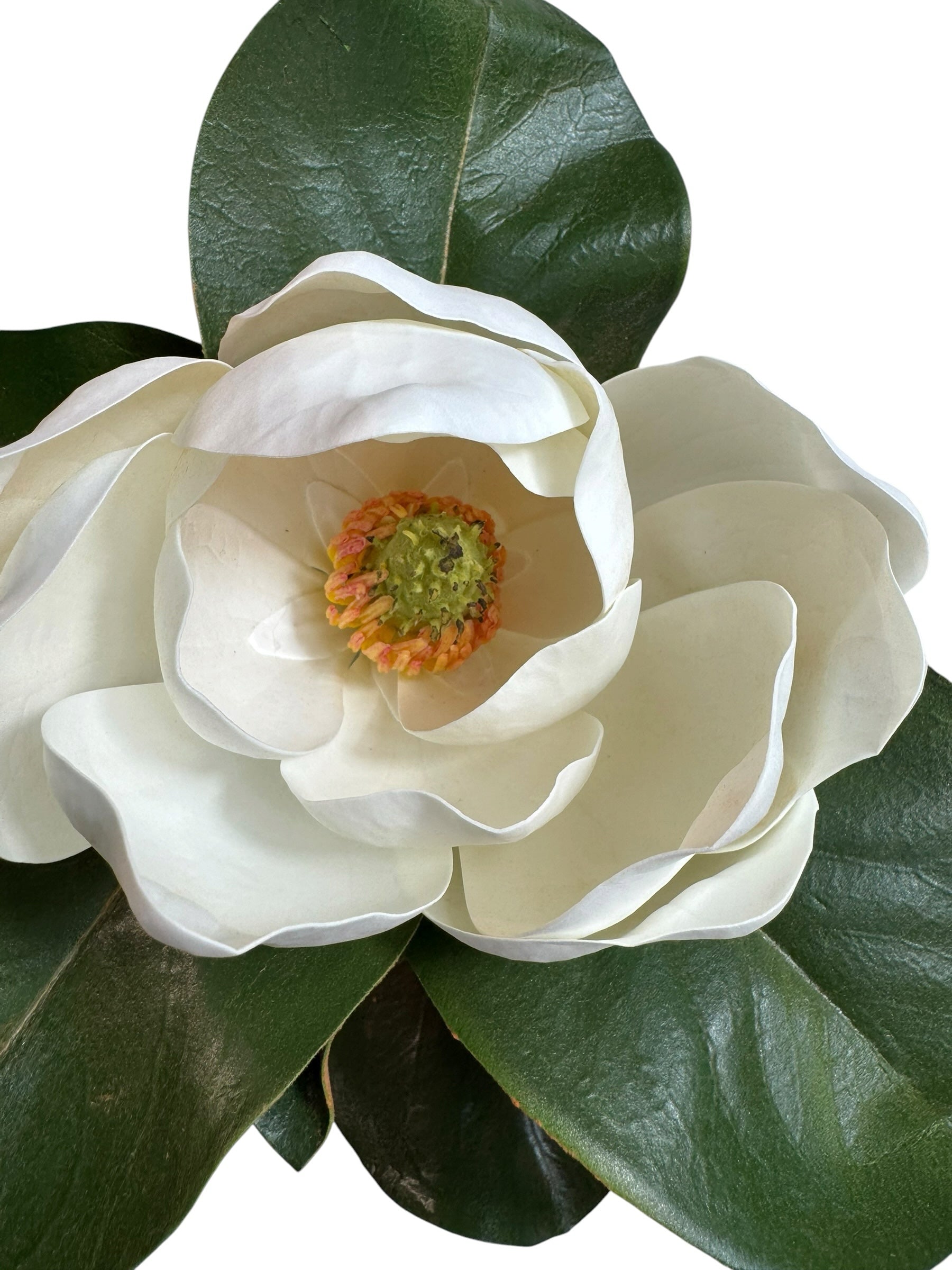 Artificial Bloom artificial magnolia flower stem with creamy white petals and glossy green leaves on white background
