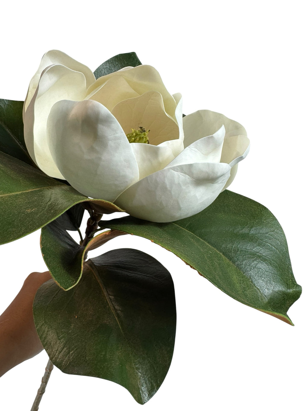 Artificial Bloom magnolia stem featuring a large creamy white flower and glossy green leaves with brown undersides.
