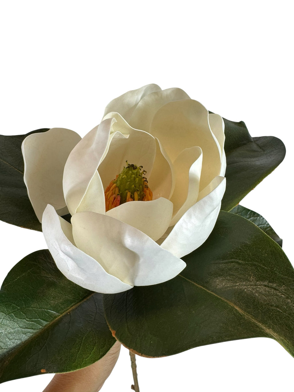 Artificial Bloom magnolia stem with a large creamy white flower and glossy green leaves on a white background