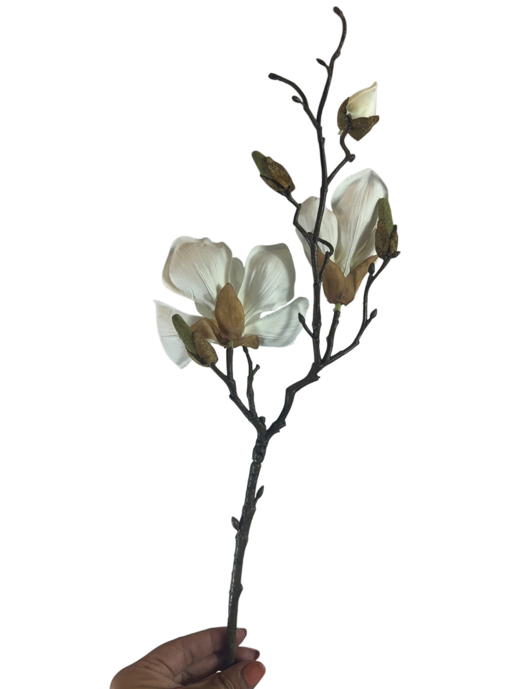 Artificial Bloom decorative magnolia stem with two creamy white fabric flowers and realistic buds on a brown branch