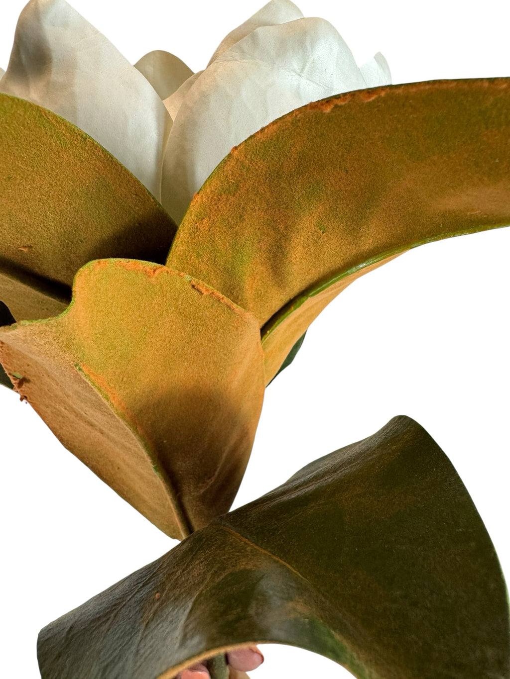 Artificial Bloom magnolia stem featuring a creamy white flower and glossy green leaves with velvety brown undersides.
