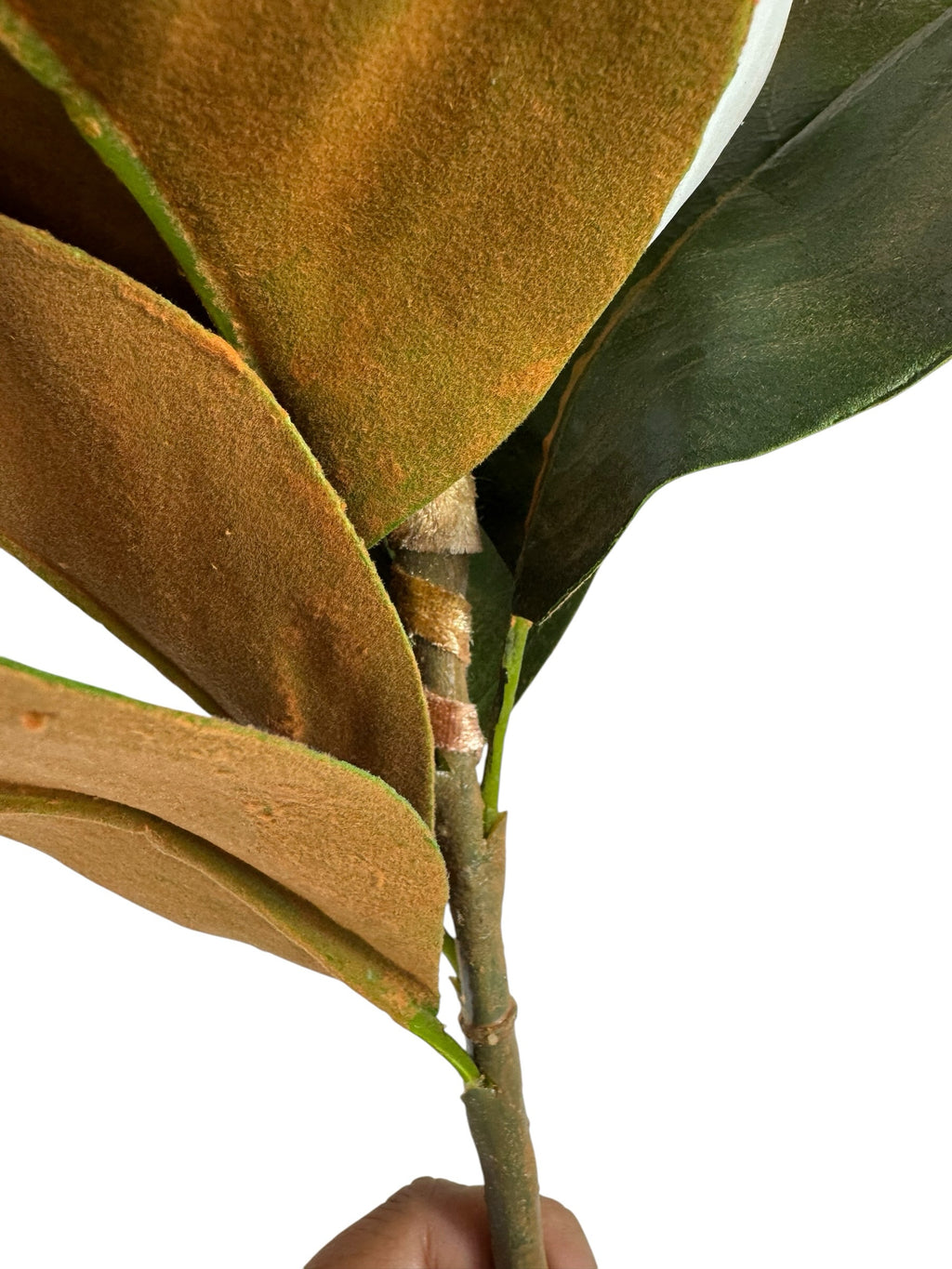 Artificial Bloom magnolia stem featuring glossy green leaves with a realistic velvety brown underside on a sturdy branch