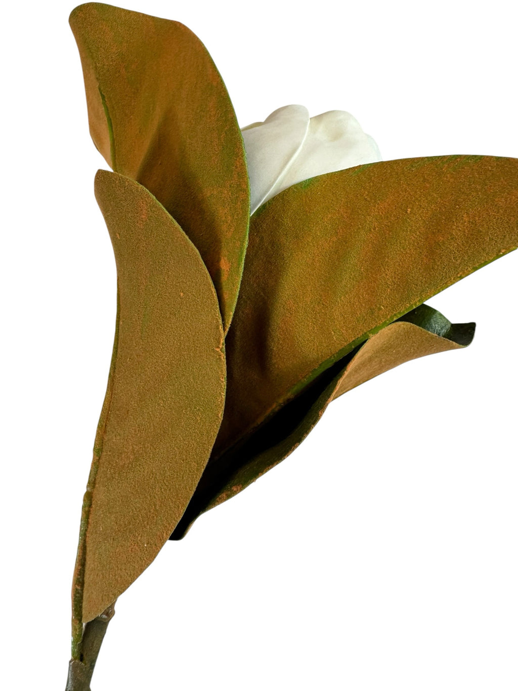 Artificial Bloom magnolia stem featuring a creamy white flower bud surrounded by realistic brown velvety leaves