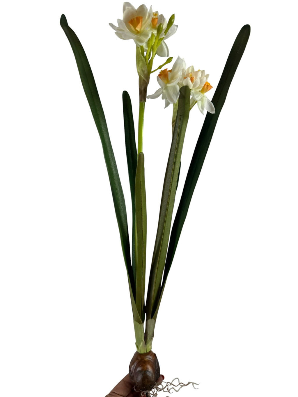 Artificial Bloom realistic white and orange narcissus flower stem with green foliage and a detailed bulb base