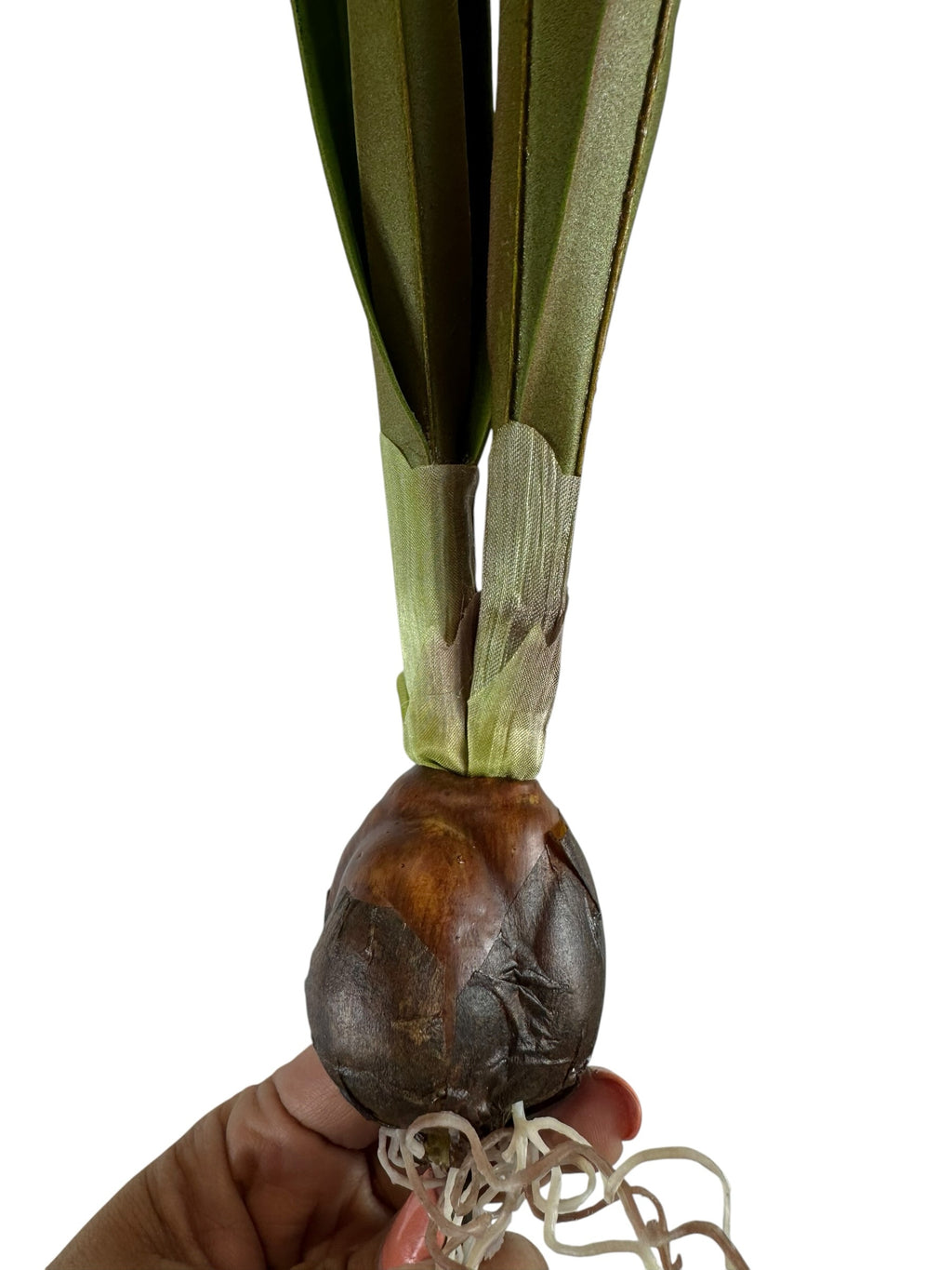Artificial Bloom realistic narcissus bulb stem with green foliage and detailed brown bulb base held in a hand