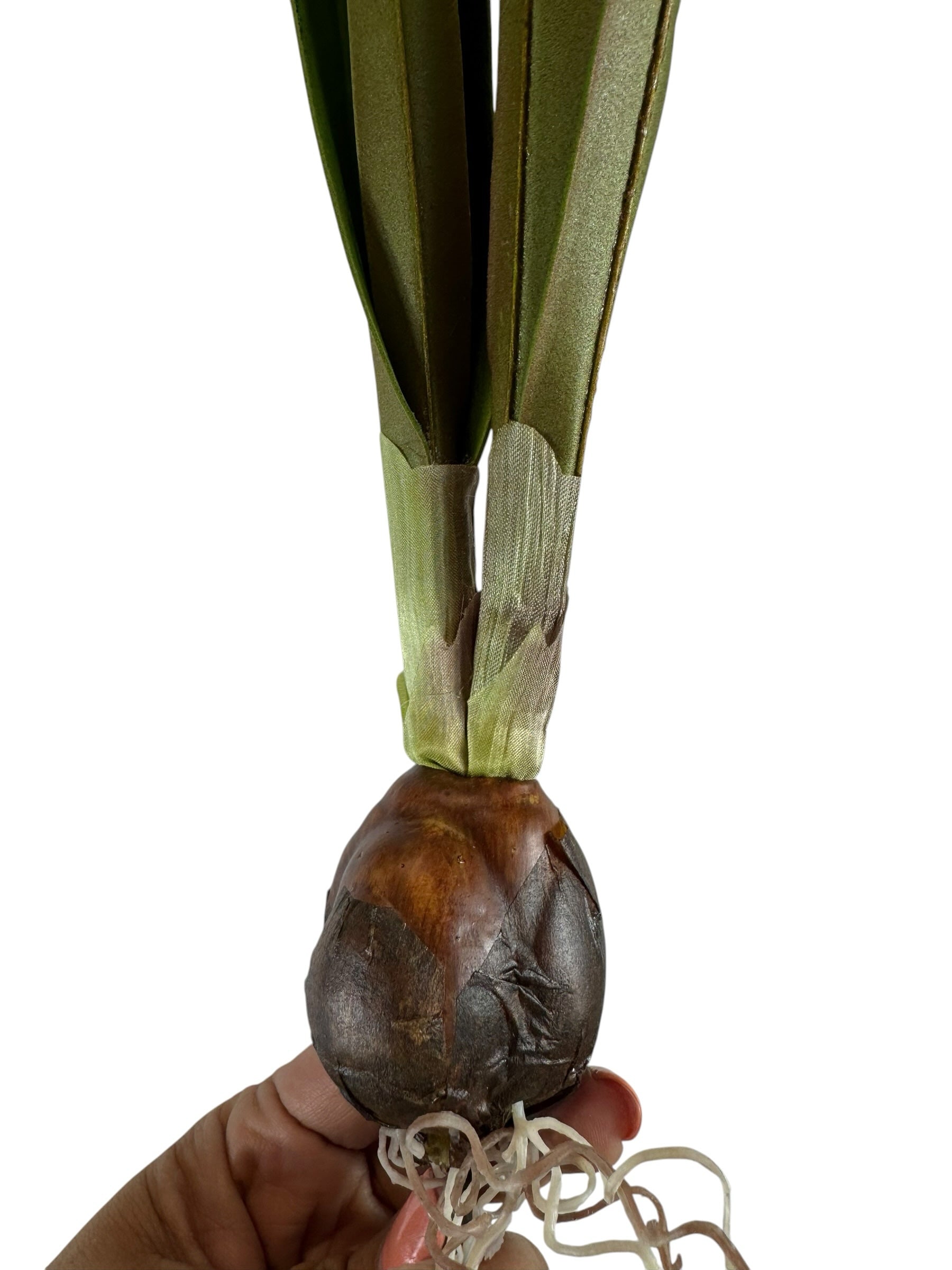 Artificial Bloom realistic narcissus bulb stem with green foliage and detailed brown bulb base held in a hand