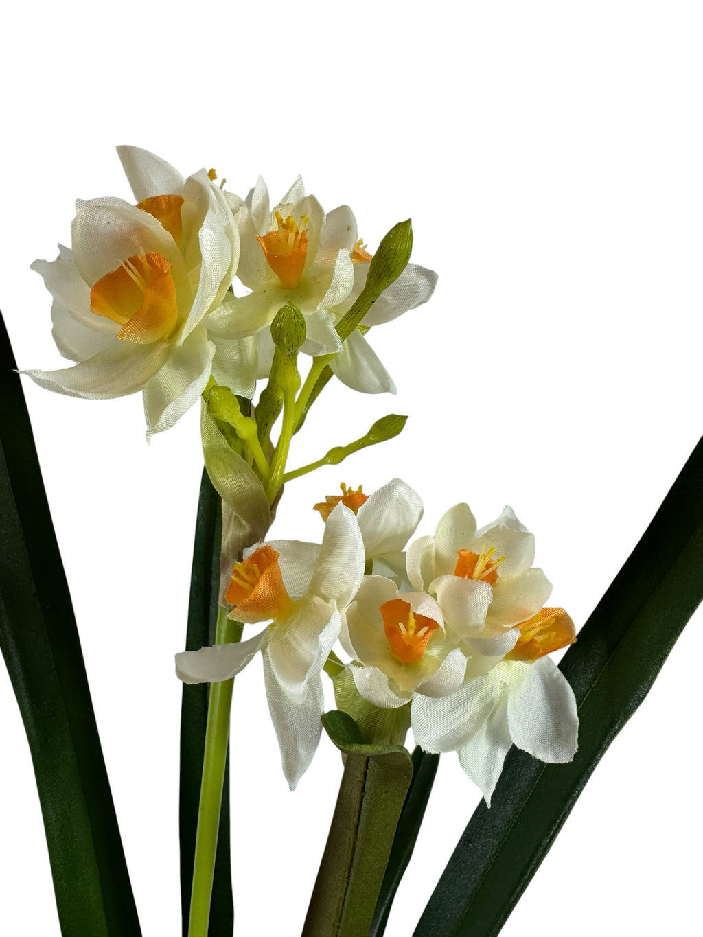 Artificial Bloom realistic white and orange narcissus flower stem with green foliage on a white background