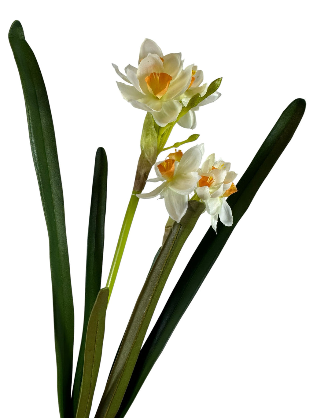 Artificial Bloom realistic white and orange narcissus flower stem with lifelike green foliage on a white background