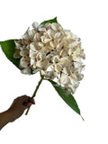 Artificial Bloom off-white fabric hydrangea stem with realistic green leaves held against a white background.