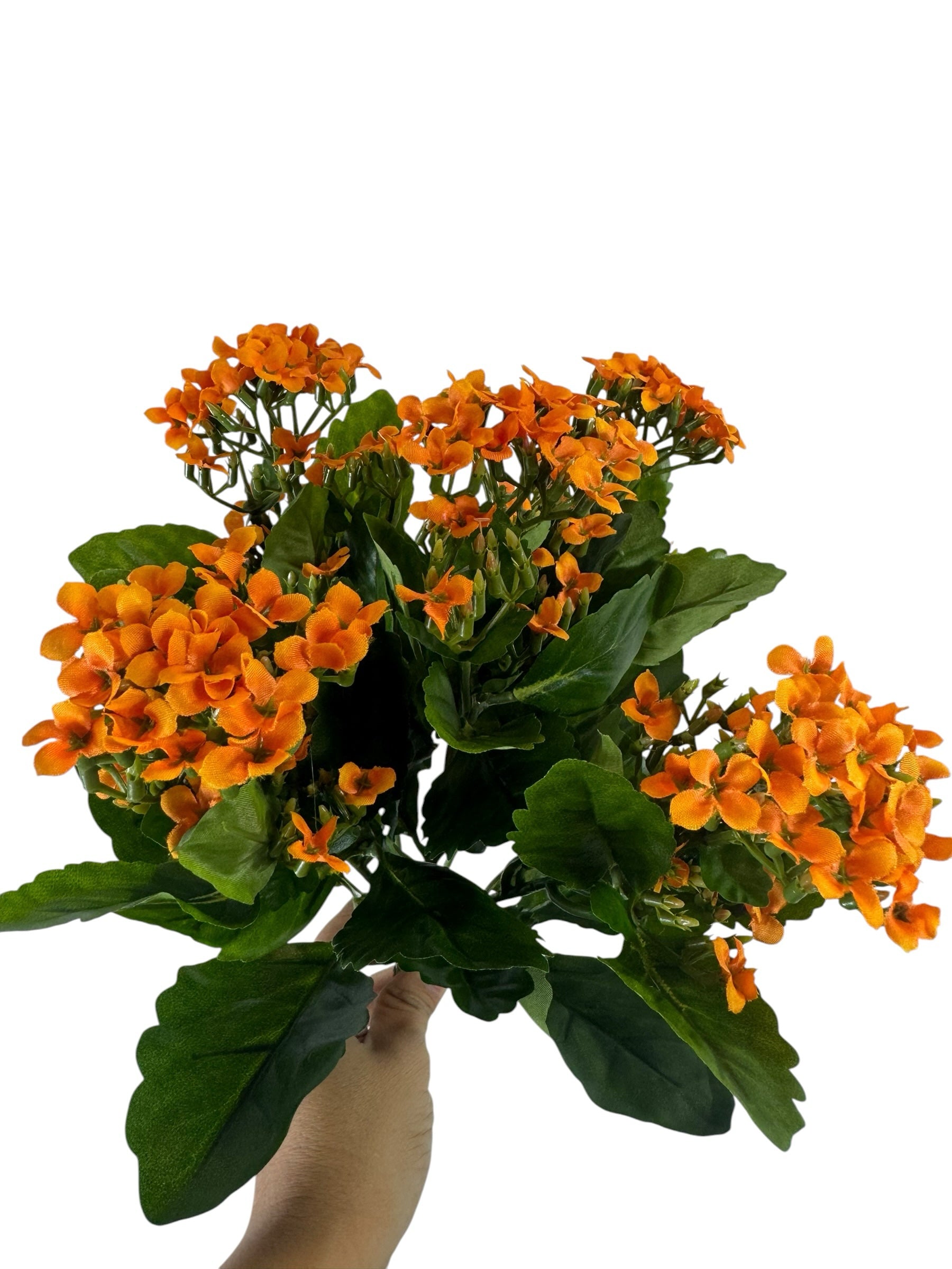 Artificial Bloom orange Kalanchoe flower bouquet with realistic green serrated leaves held against a white background
