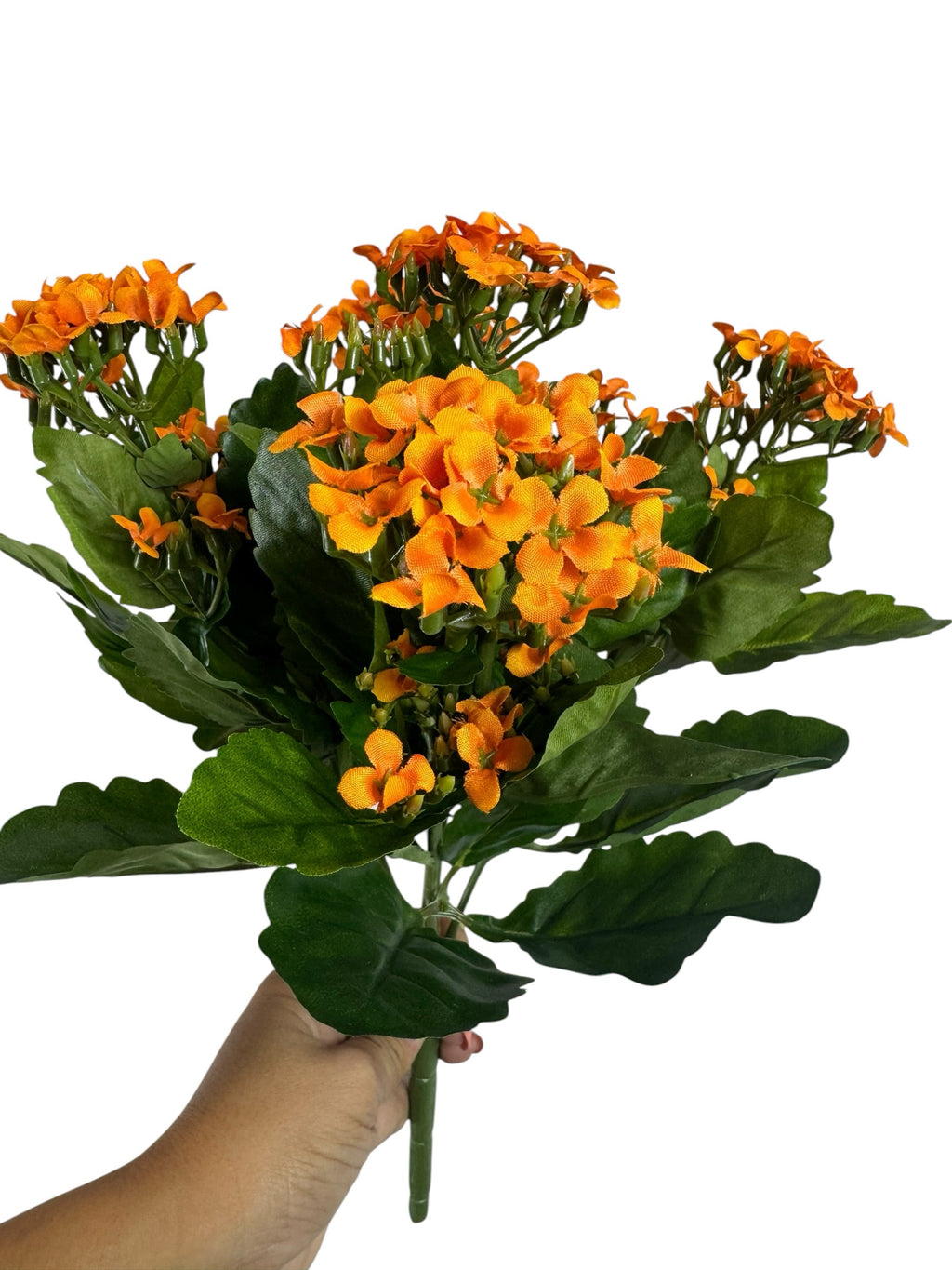 Artificial Bloom orange Kalanchoe flower bouquet with realistic green leaves held in a hand against a white background
