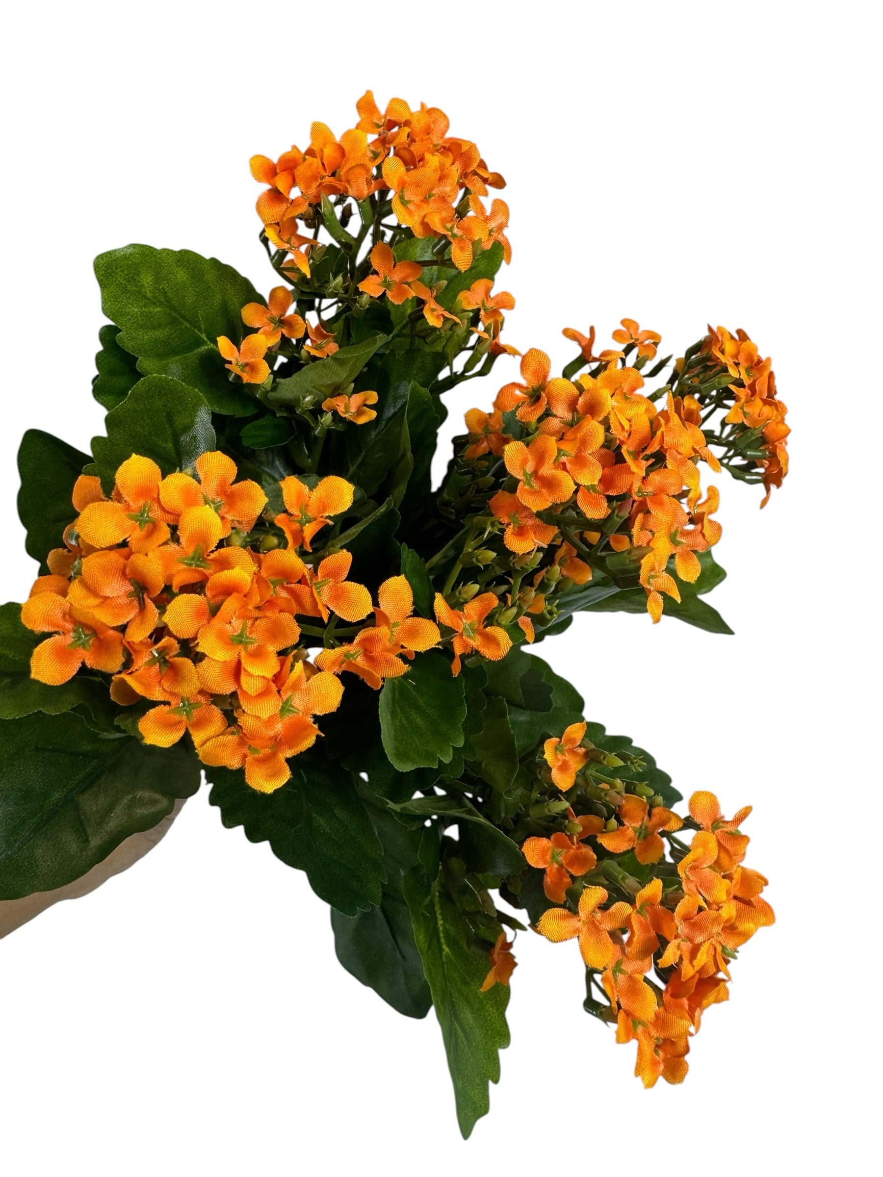 Artificial Bloom orange Kalanchoe flower bouquet with realistic green serrated leaves on a white background