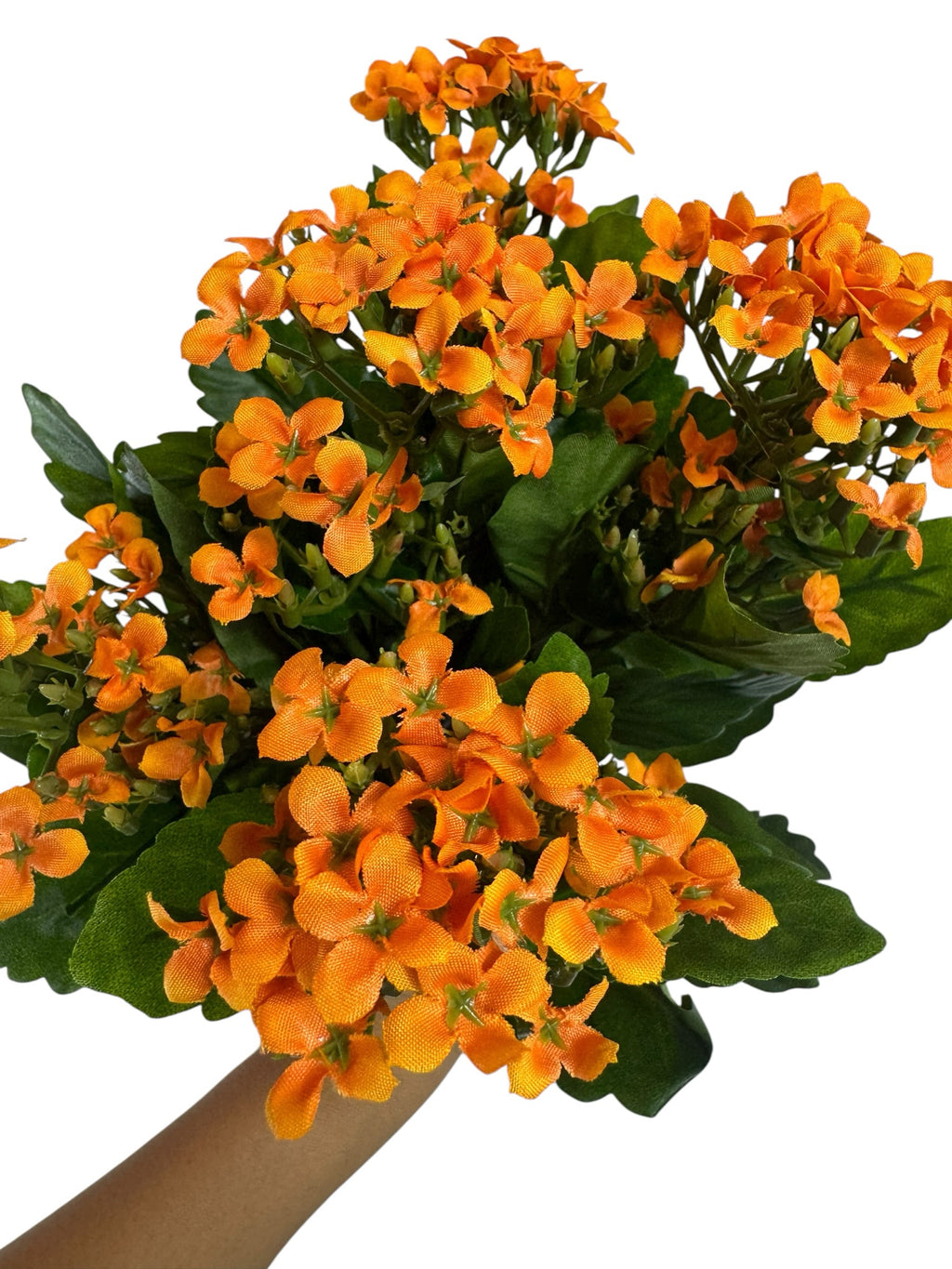 Artificial Bloom orange Kalanchoe flower bouquet with realistic silk-like blossoms and deep green serrated leaves