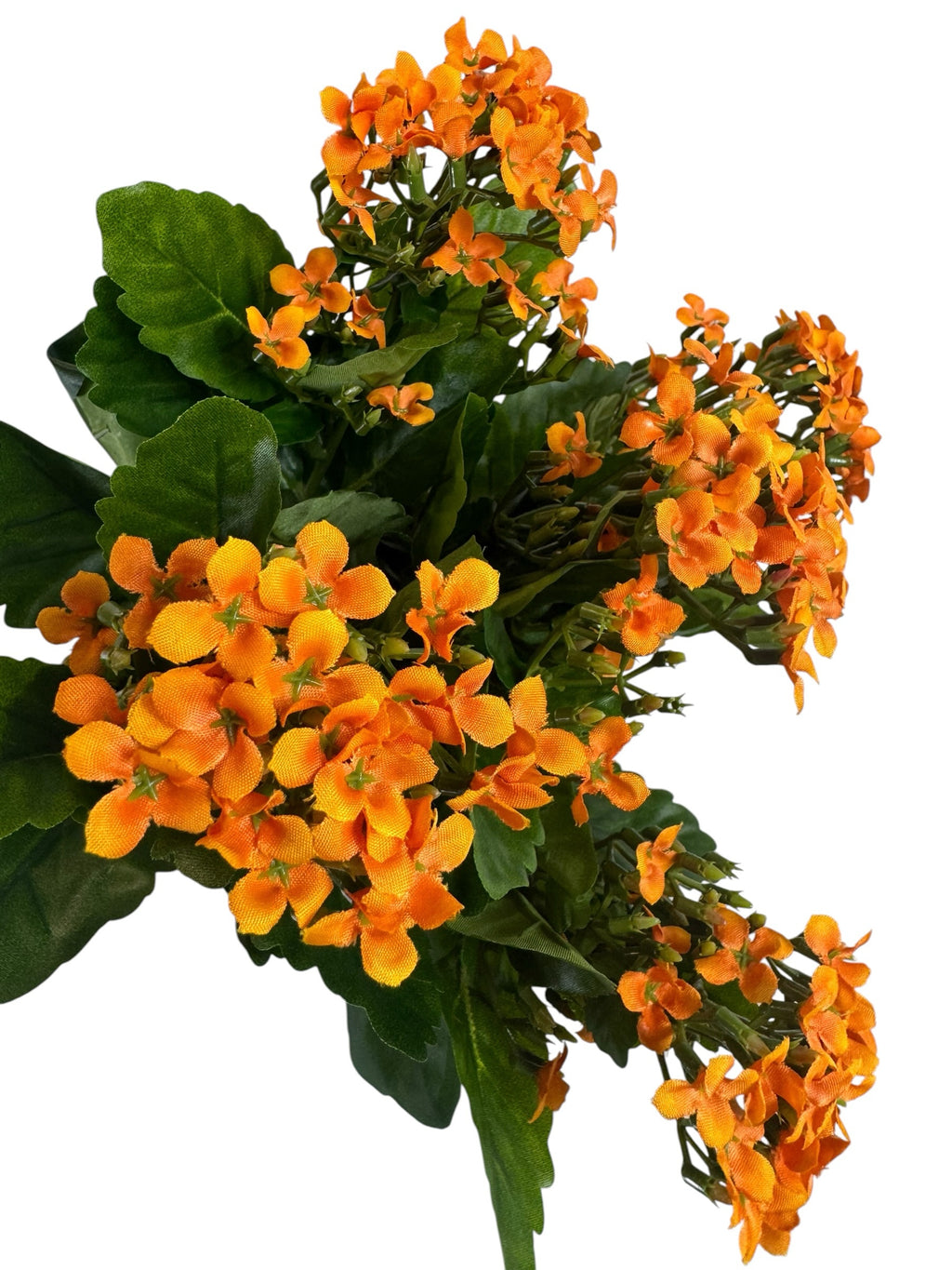 Artificial Bloom orange Kalanchoe flower bouquet with realistic silk-like blossoms and deep green serrated leaves.