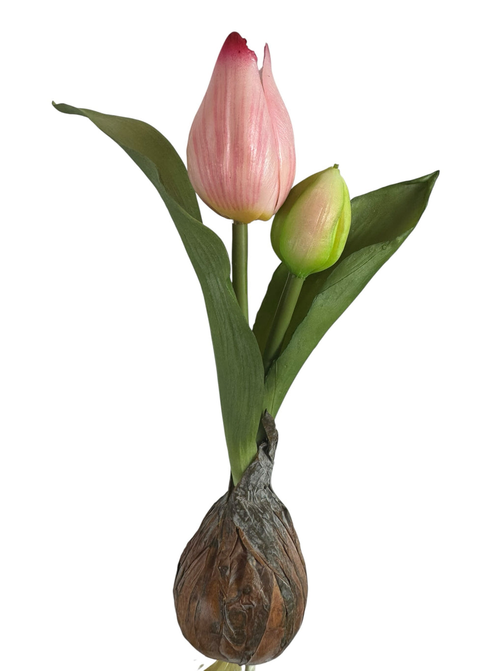 Artificial Bloom decorative tulip bulb stem with a blush-pink flower and a green bud on a realistic textured base.