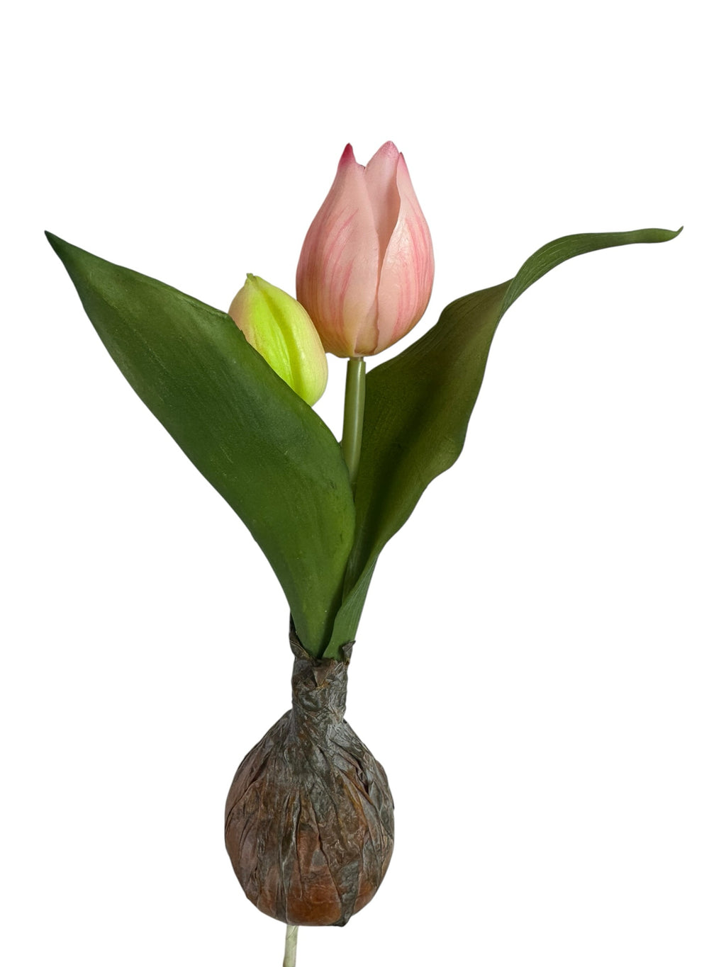 Artificial Bloom decorative tulip bulb stem with a blush-pink flower and a green bud on a realistic textured bulb base.
