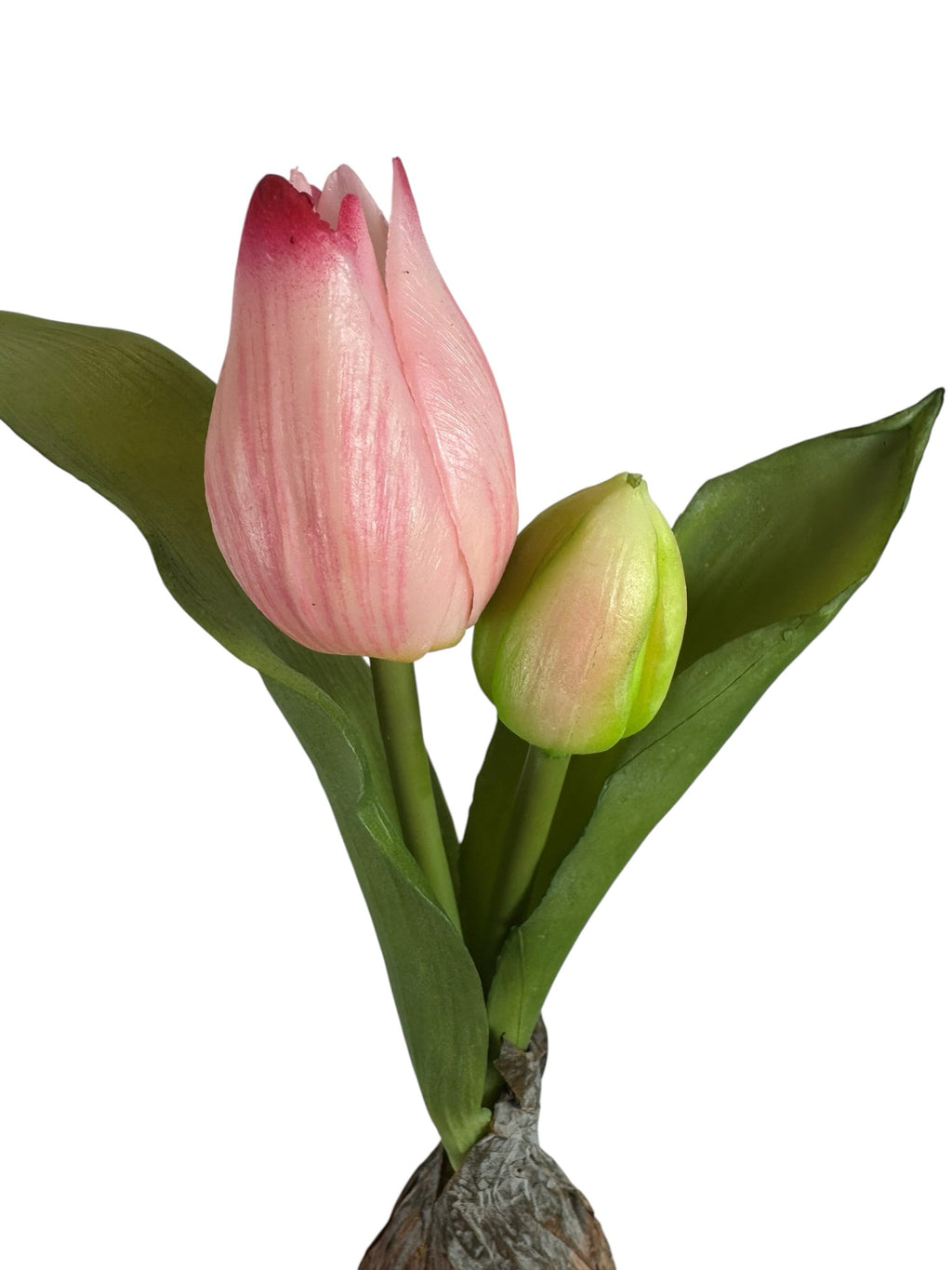 Artificial Bloom decorative tulip bulb stem with a blush-pink blooming tulip and a small green bud on a white background