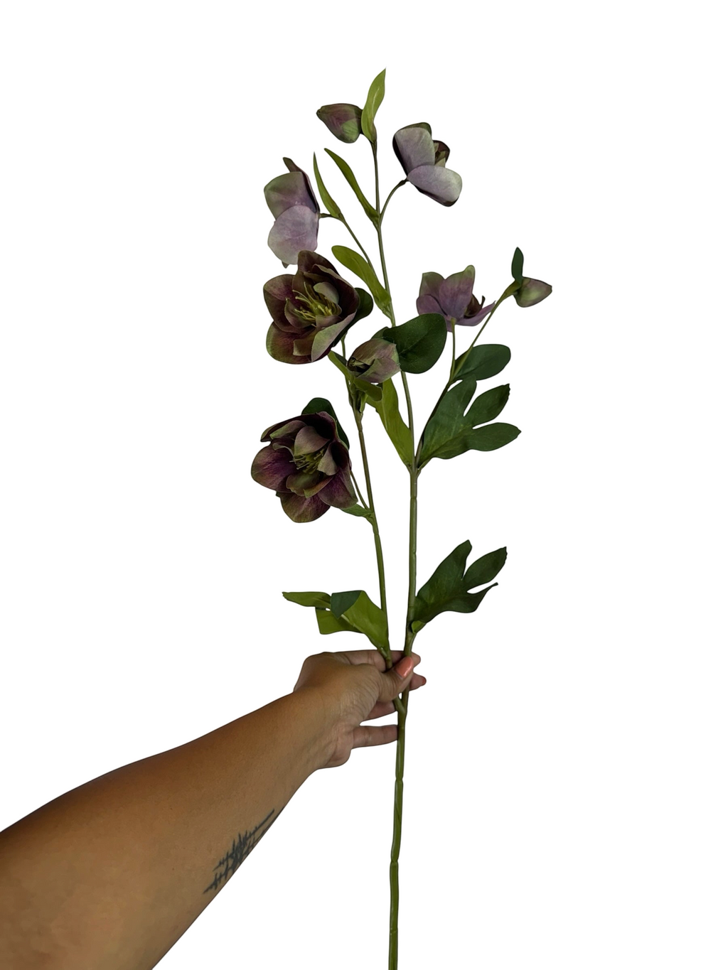 Artificial Bloom artificial hellebore stem with dusky purple and green flowers held by a hand against a white background