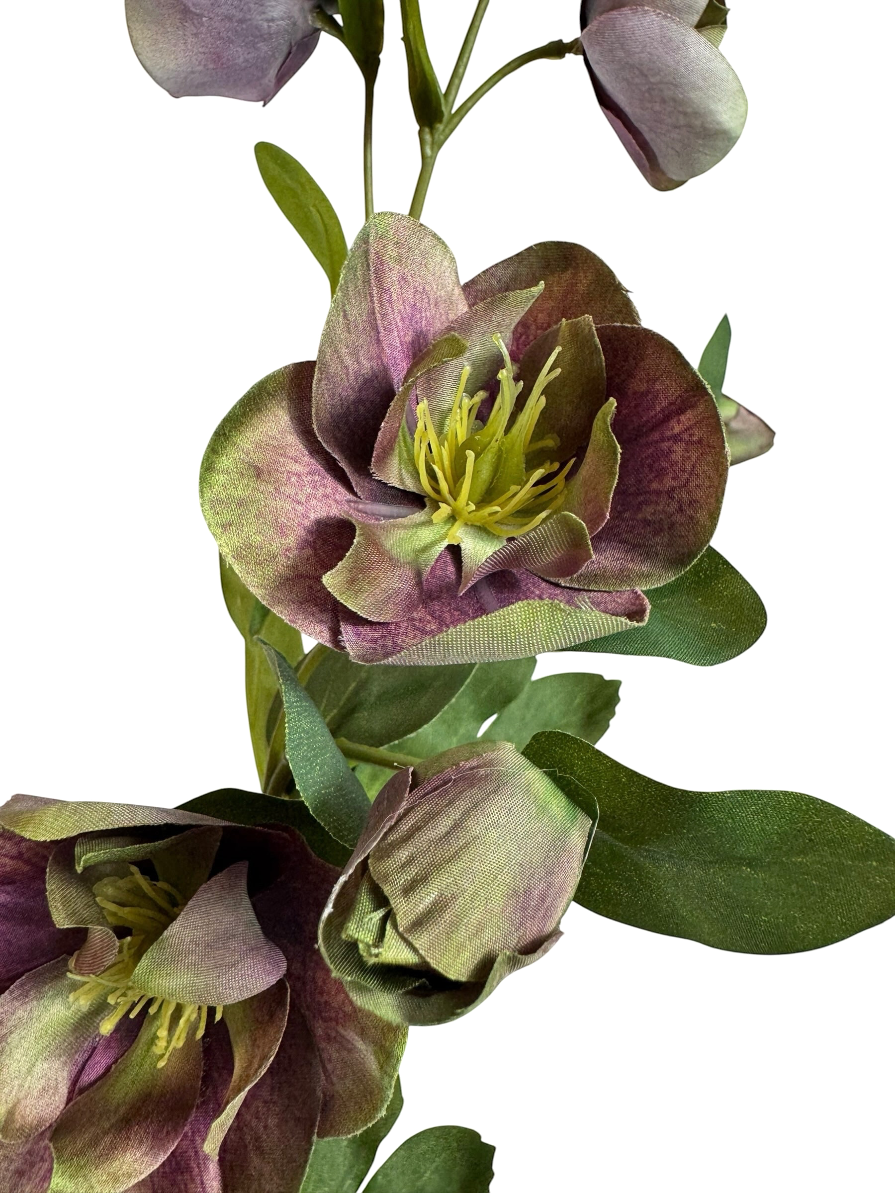 Artificial Bloom faux hellebore stem with dusky purple and green petals and yellow stamens on a white background