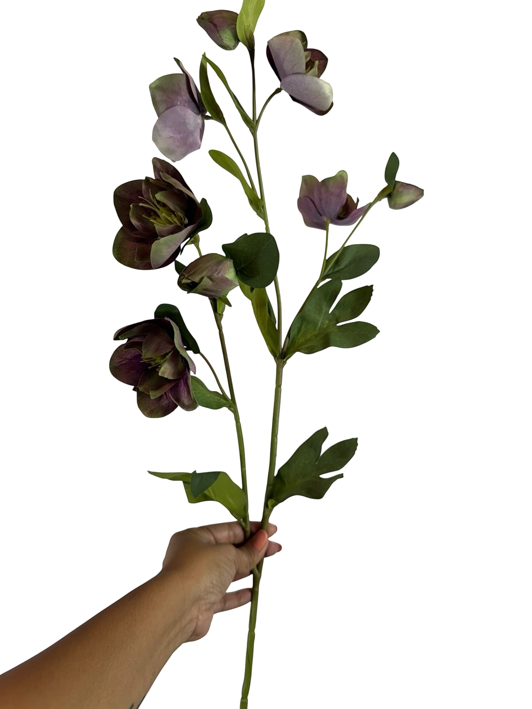 Artificial Bloom artificial hellebore stem in deep dusky purple and green held by a hand against a white background