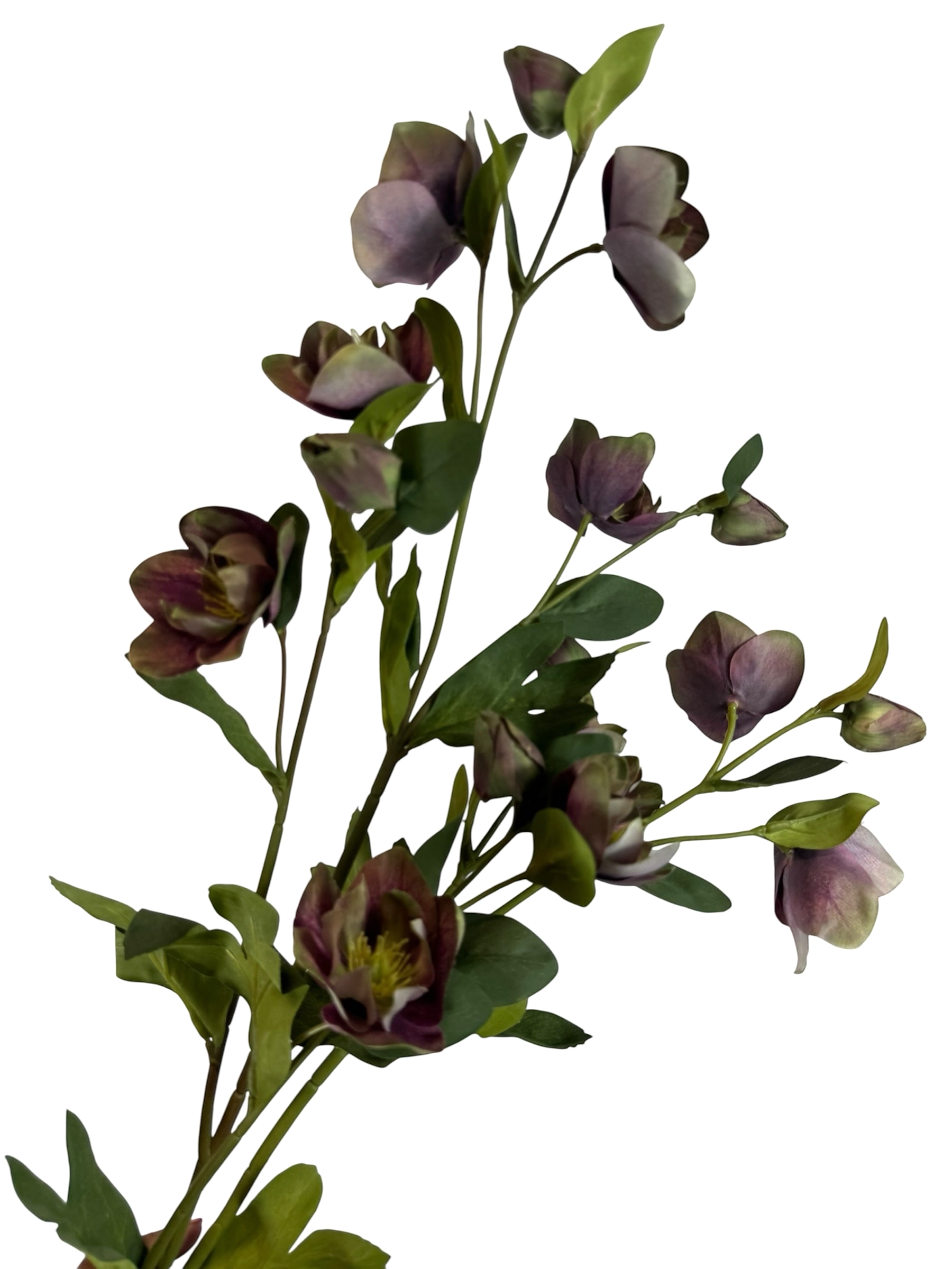 Artificial Bloom artificial hellebore stem with deep purple and green petals and realistic foliage on a white background
