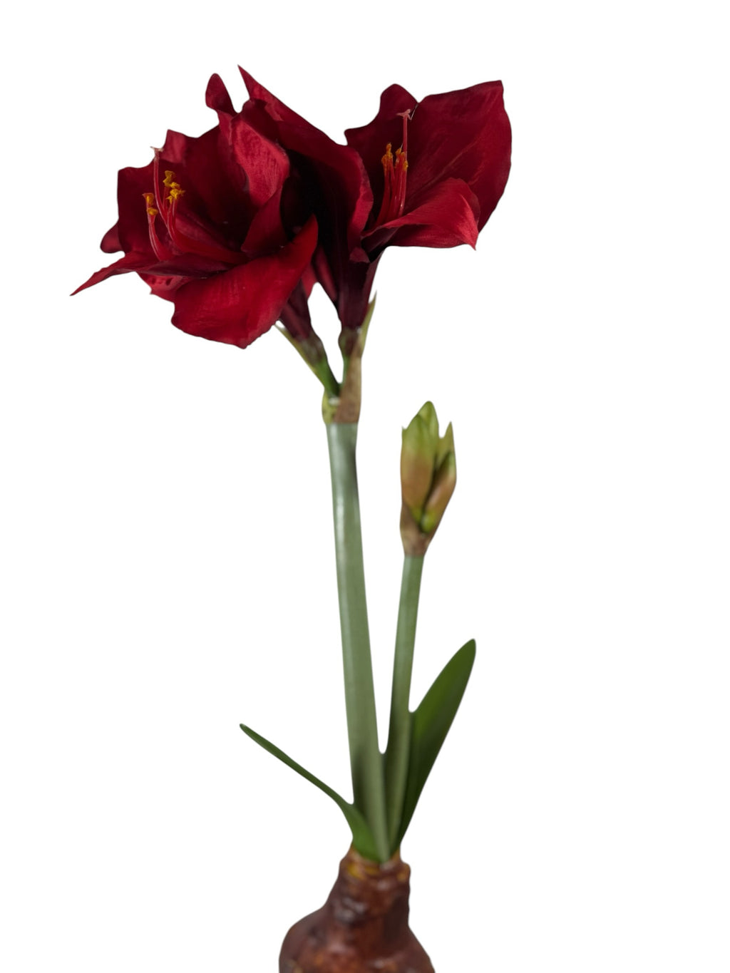 Artificial Bloom lifelike amaryllis stem with deep red velvety petals and green stalks on a bulb base