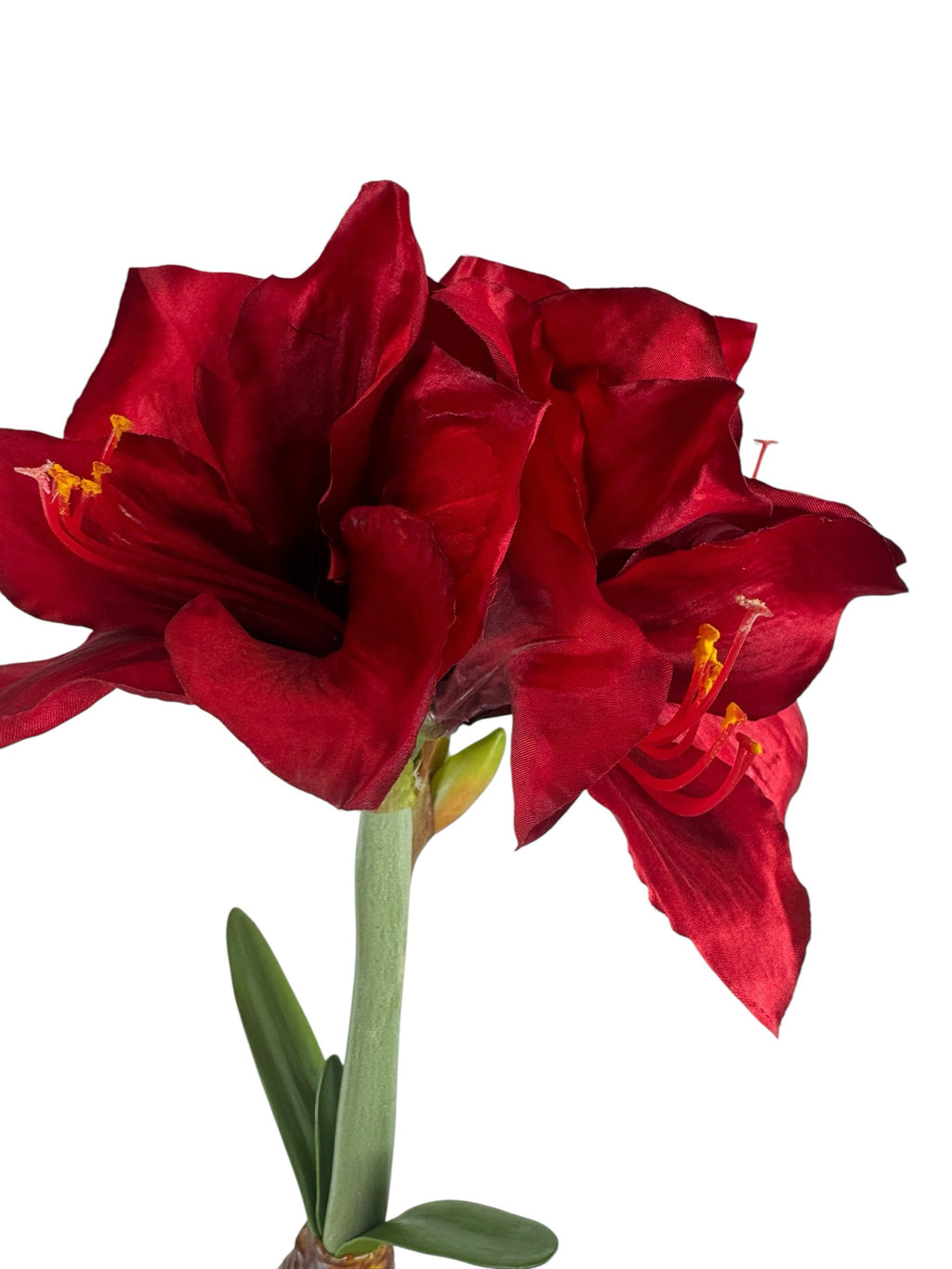 Artificial Bloom lifelike amaryllis stem with deep red velvety petals and green stalk against a white background