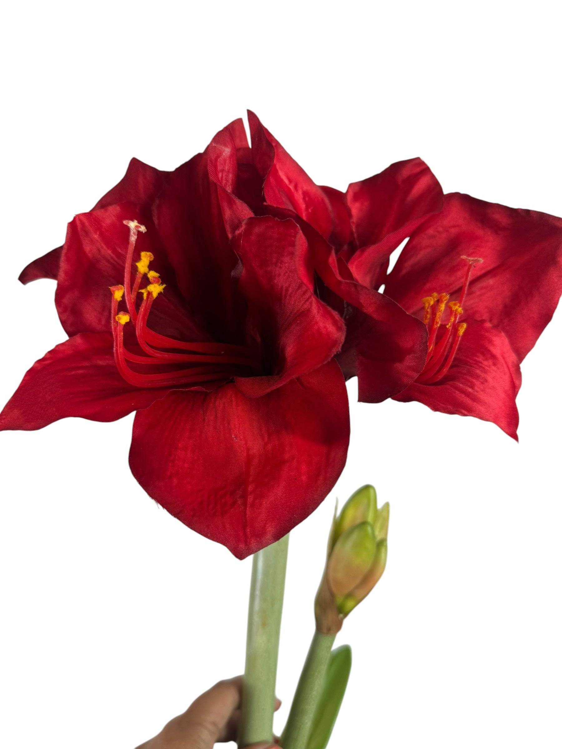 Artificial Bloom lifelike amaryllis stem with deep red velvety petals and green stems against a white background