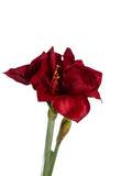Artificial Bloom lifelike amaryllis stem with deep velvety red petals and a green stalk on a white background