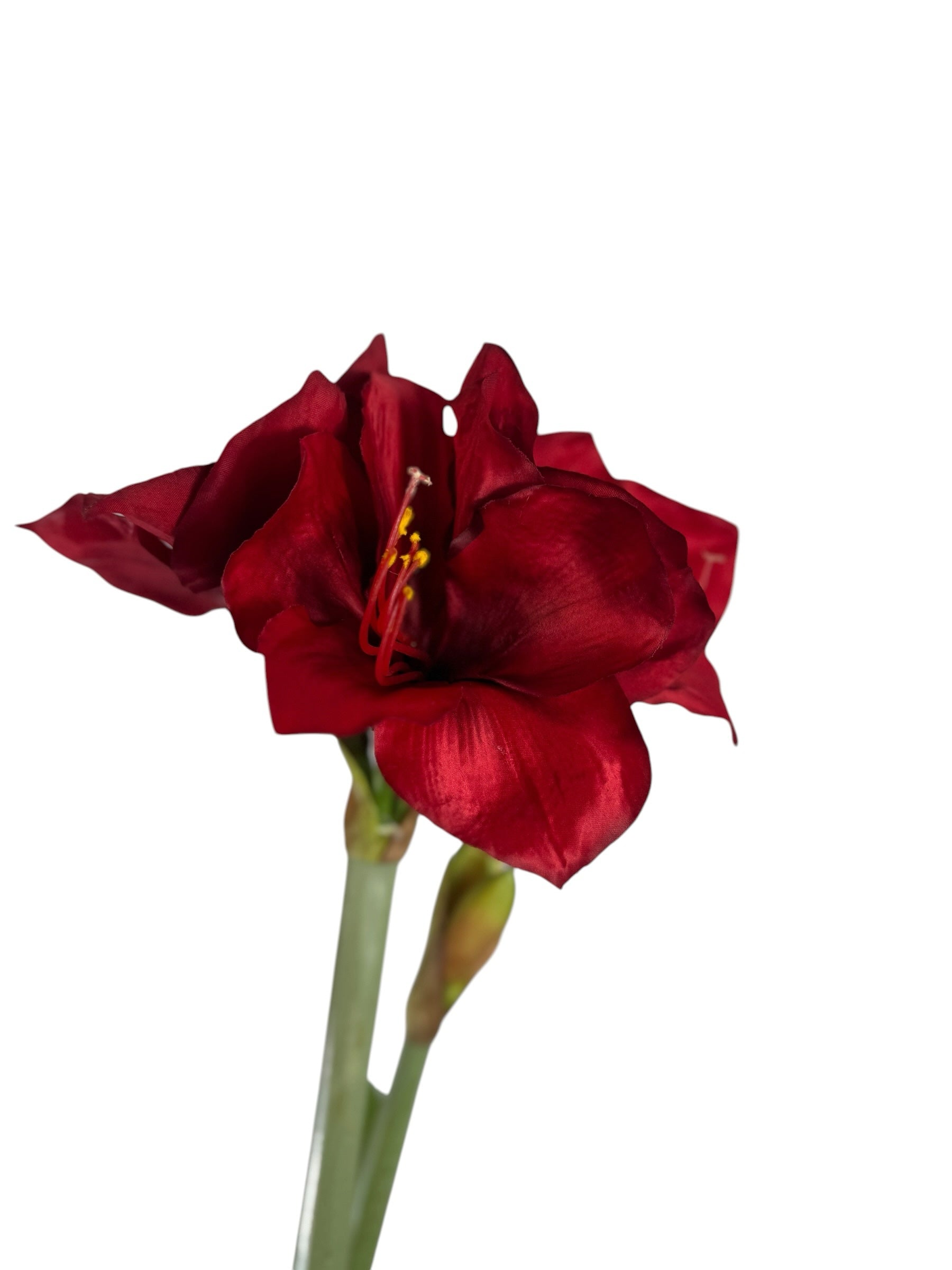 Artificial Bloom lifelike amaryllis stem with deep velvety red petals and a green stalk on a white background