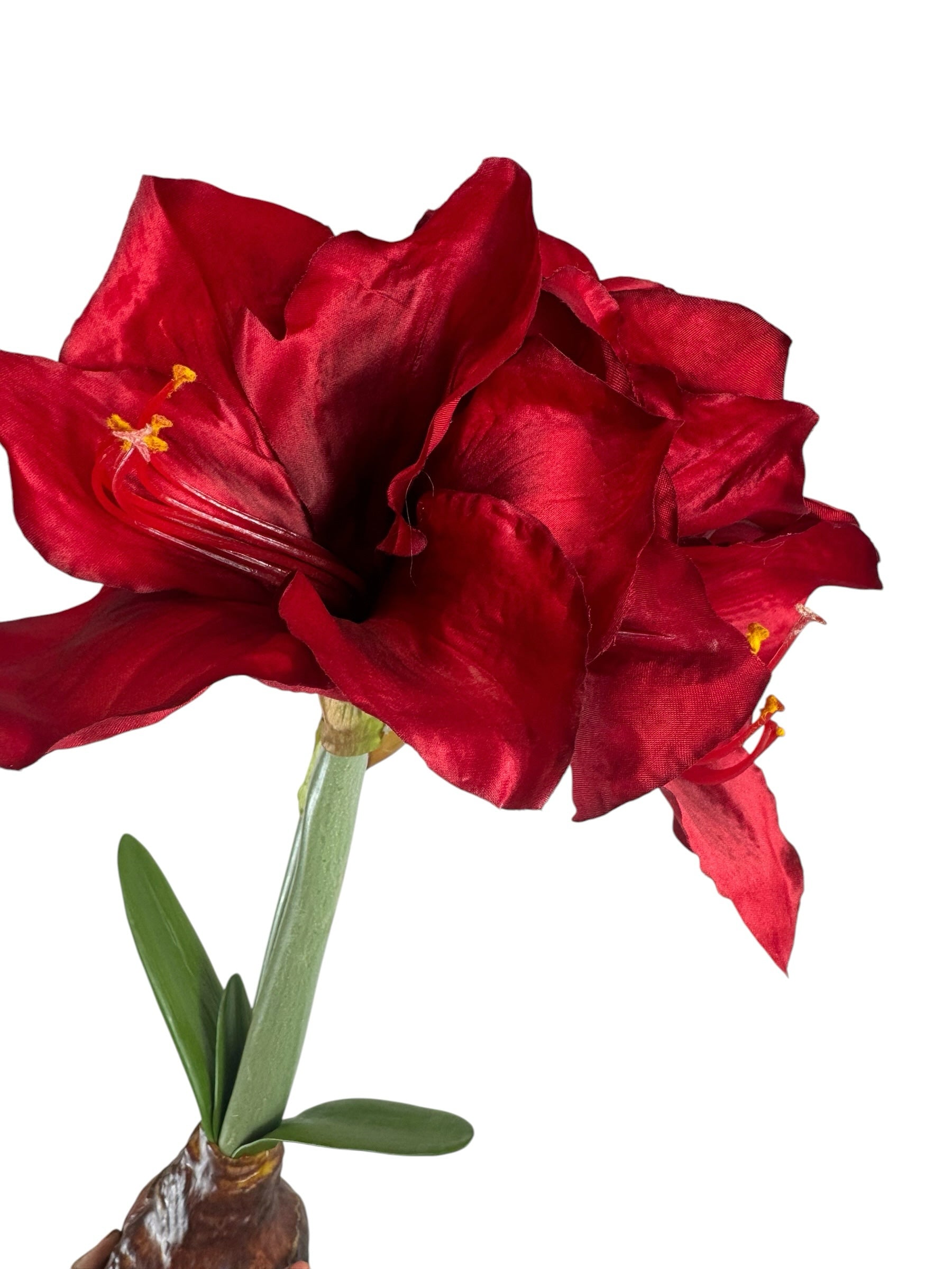 Artificial Bloom lifelike amaryllis stem with deep red velvety petals and a realistic bulb base on white background