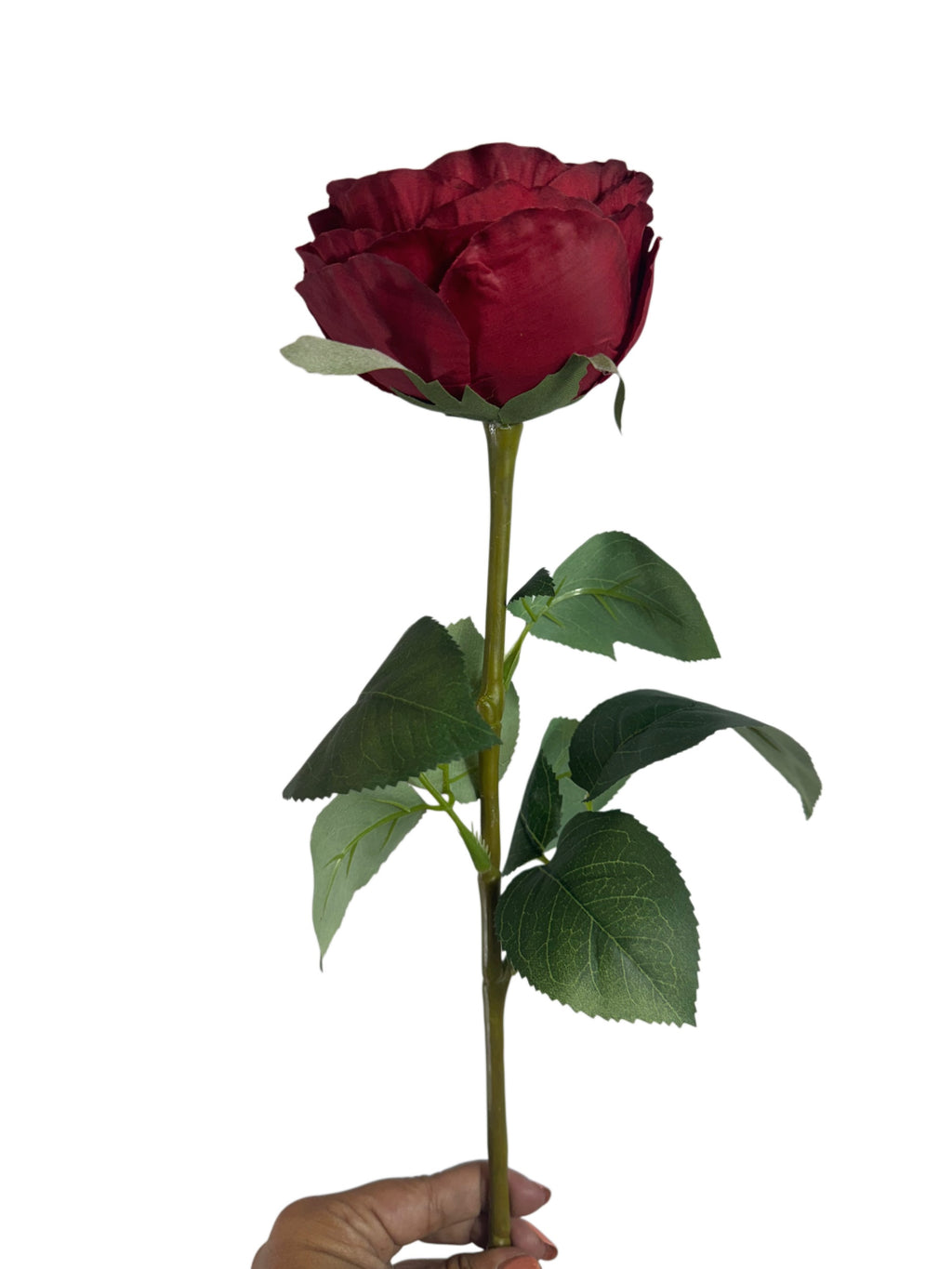 Artificial Bloom deep red faux rose stem with velvety petals and realistic green leaves held against a white background