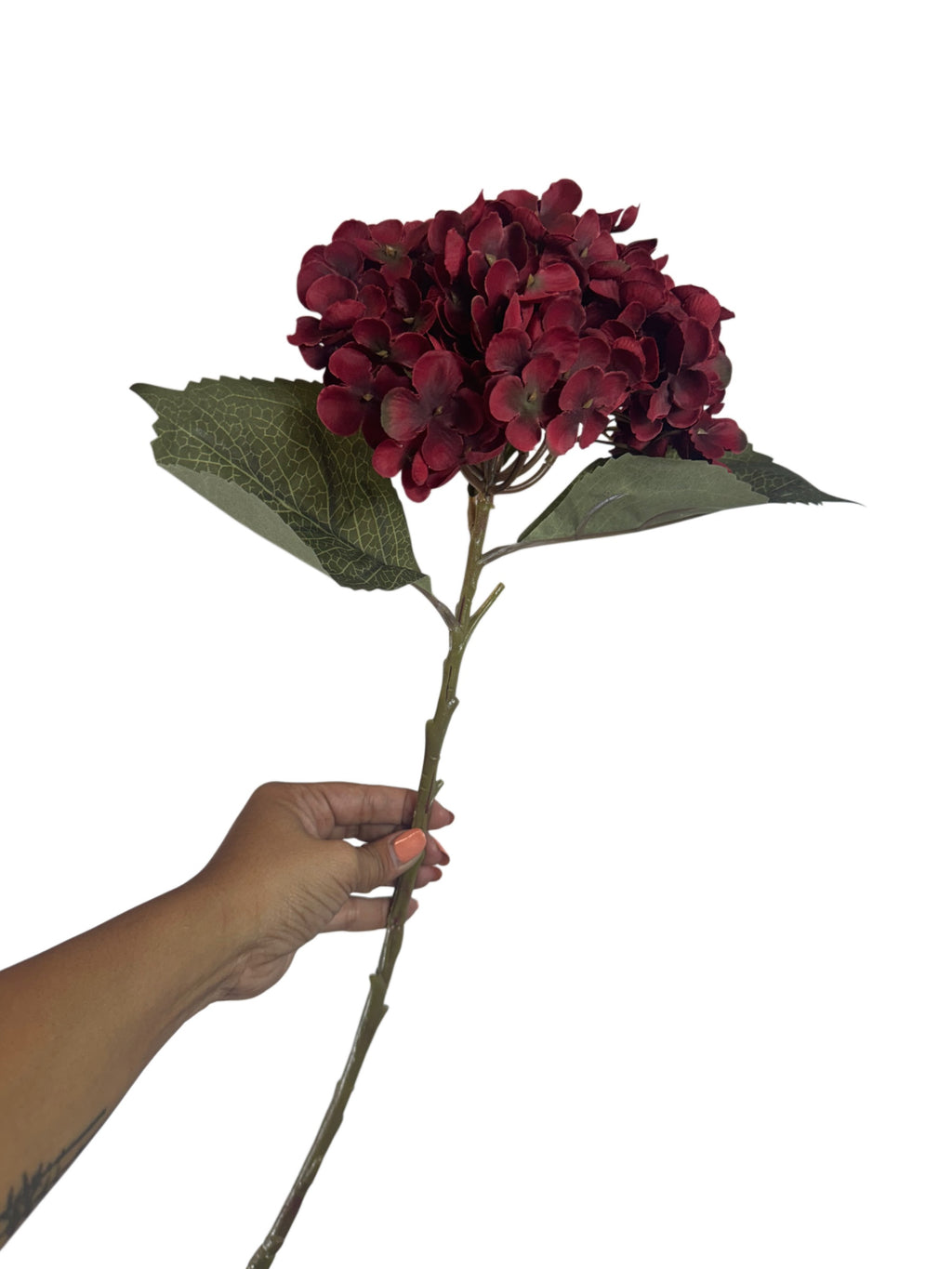 Artificial Bloom deep red hydrangea stem with lush burgundy petals and green leaves held by a hand