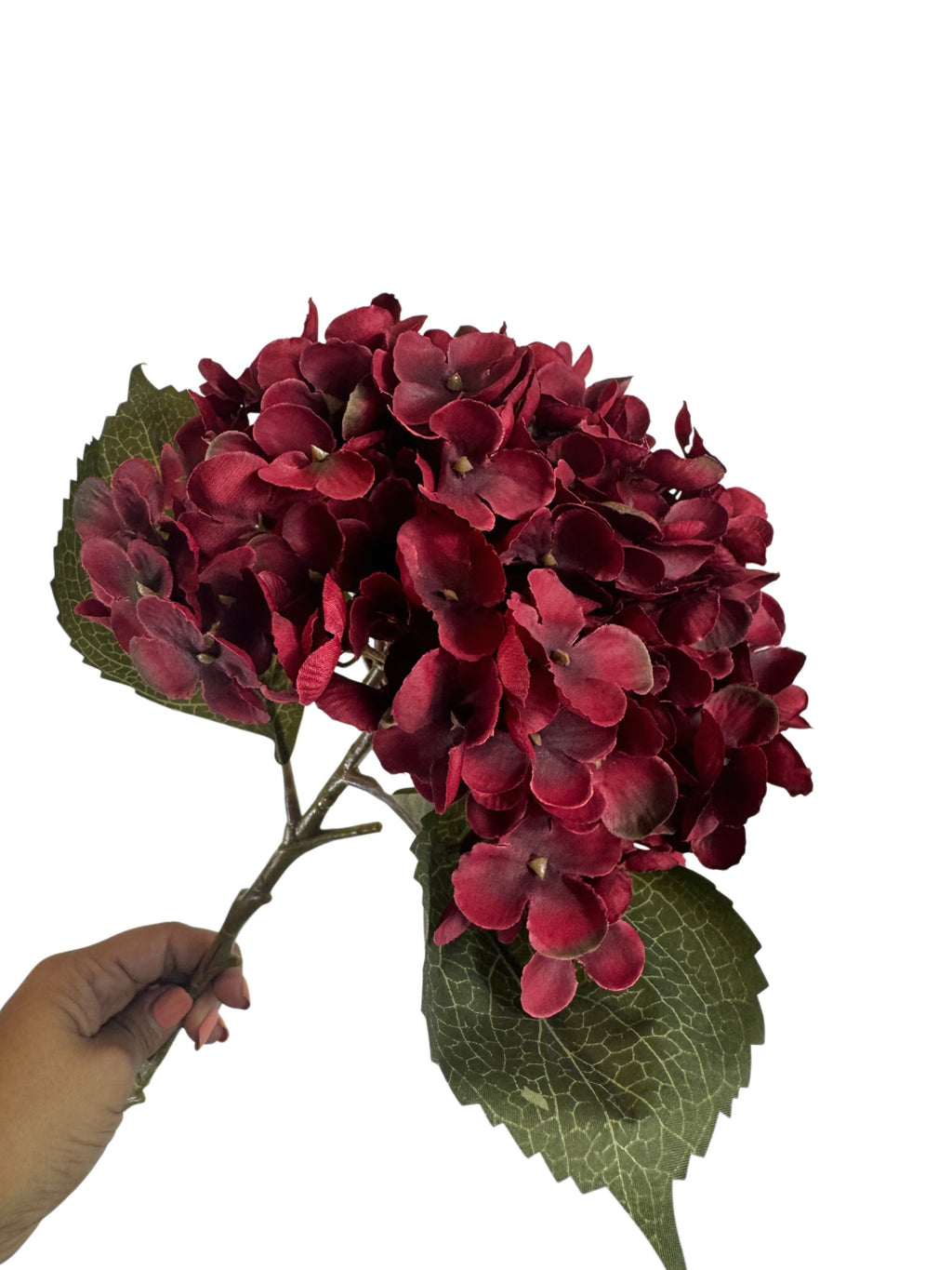Artificial Bloom deep red hydrangea stem with lush burgundy petals and realistic green veined leaves held by a hand