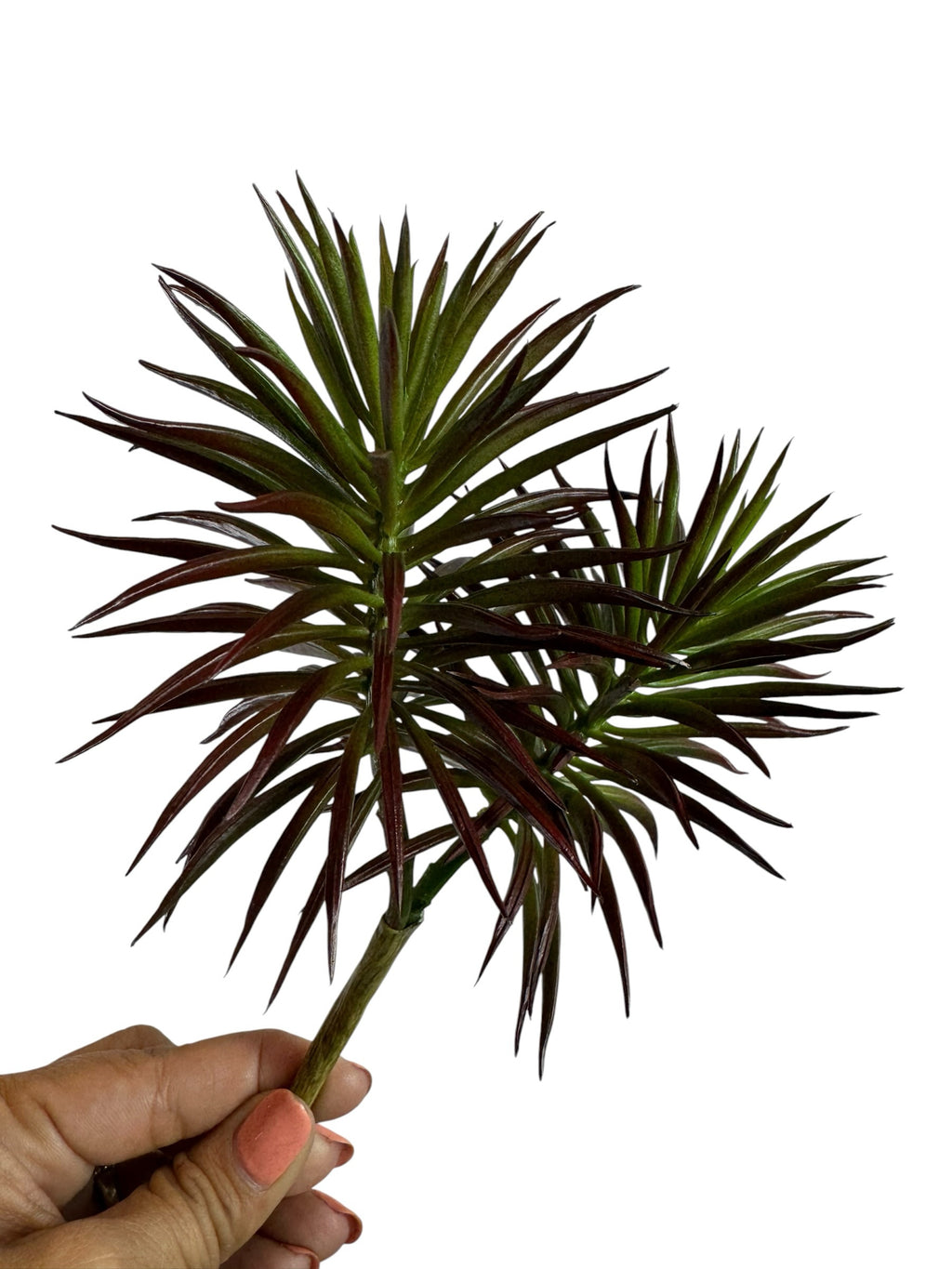 Artificial Bloom spiky succulent stem with dual-tone burgundy and green foliage held against a white background