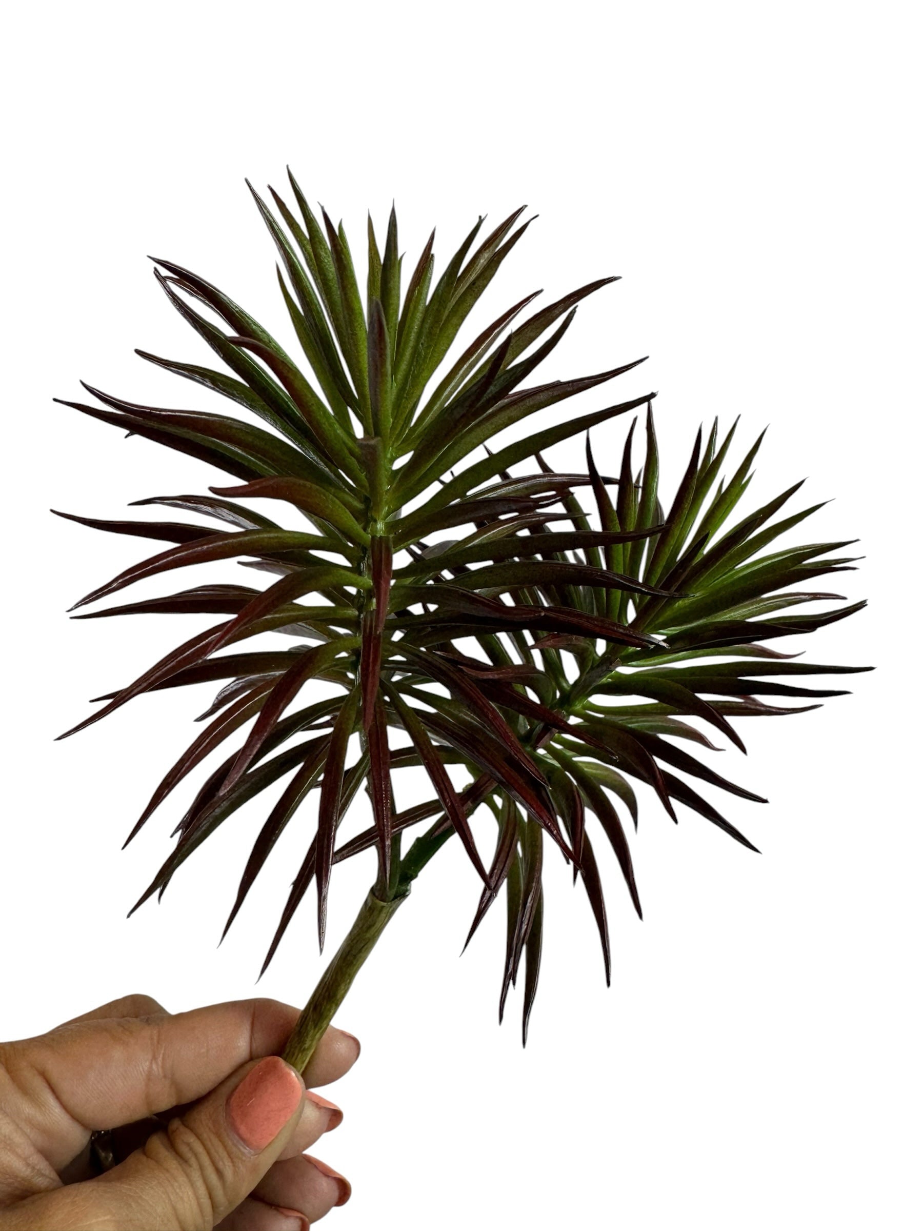 Artificial Bloom spiky succulent stem with dual-tone burgundy and green foliage held against a white background