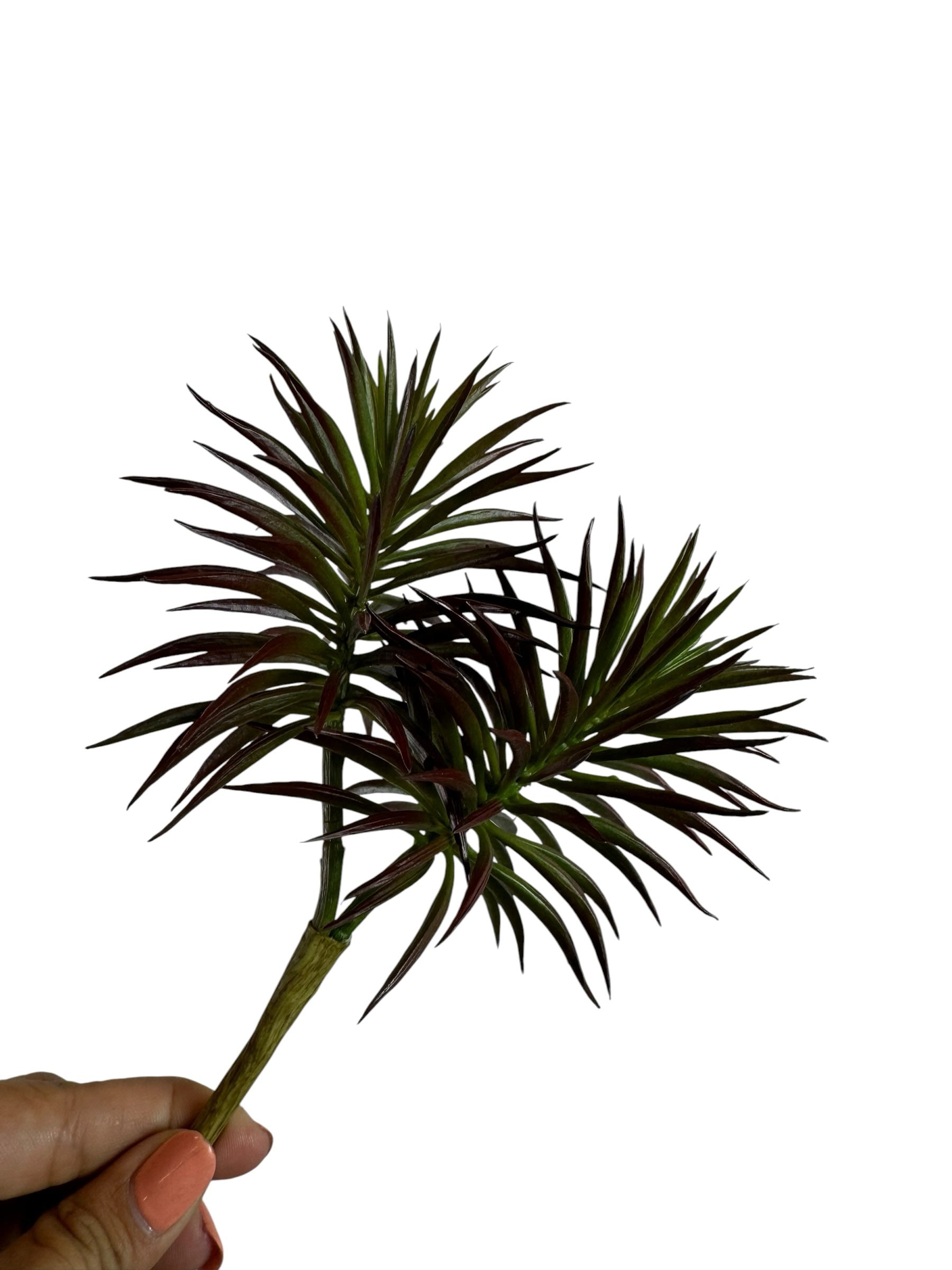 Artificial Bloom spiky succulent stem with deep burgundy and green foliage held by a hand against a white background.