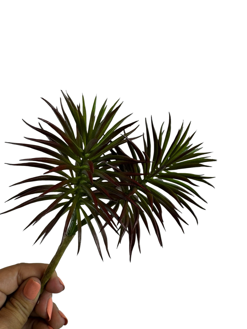 Artificial Bloom spiky succulent stem with dual-tone burgundy and green leaves held against a white background.