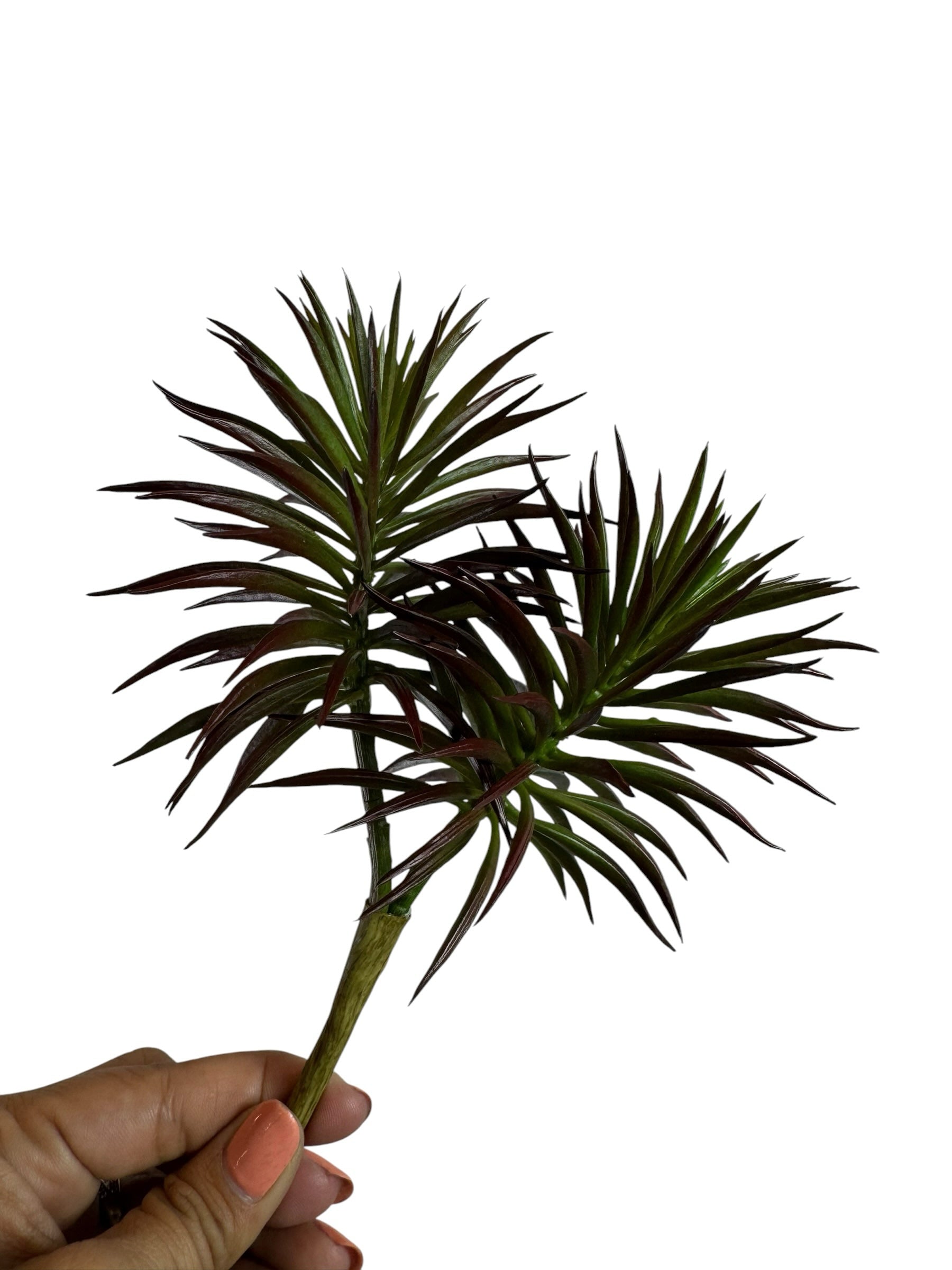 Artificial Bloom spiky succulent stem with deep burgundy and green foliage held by a hand against a white background.