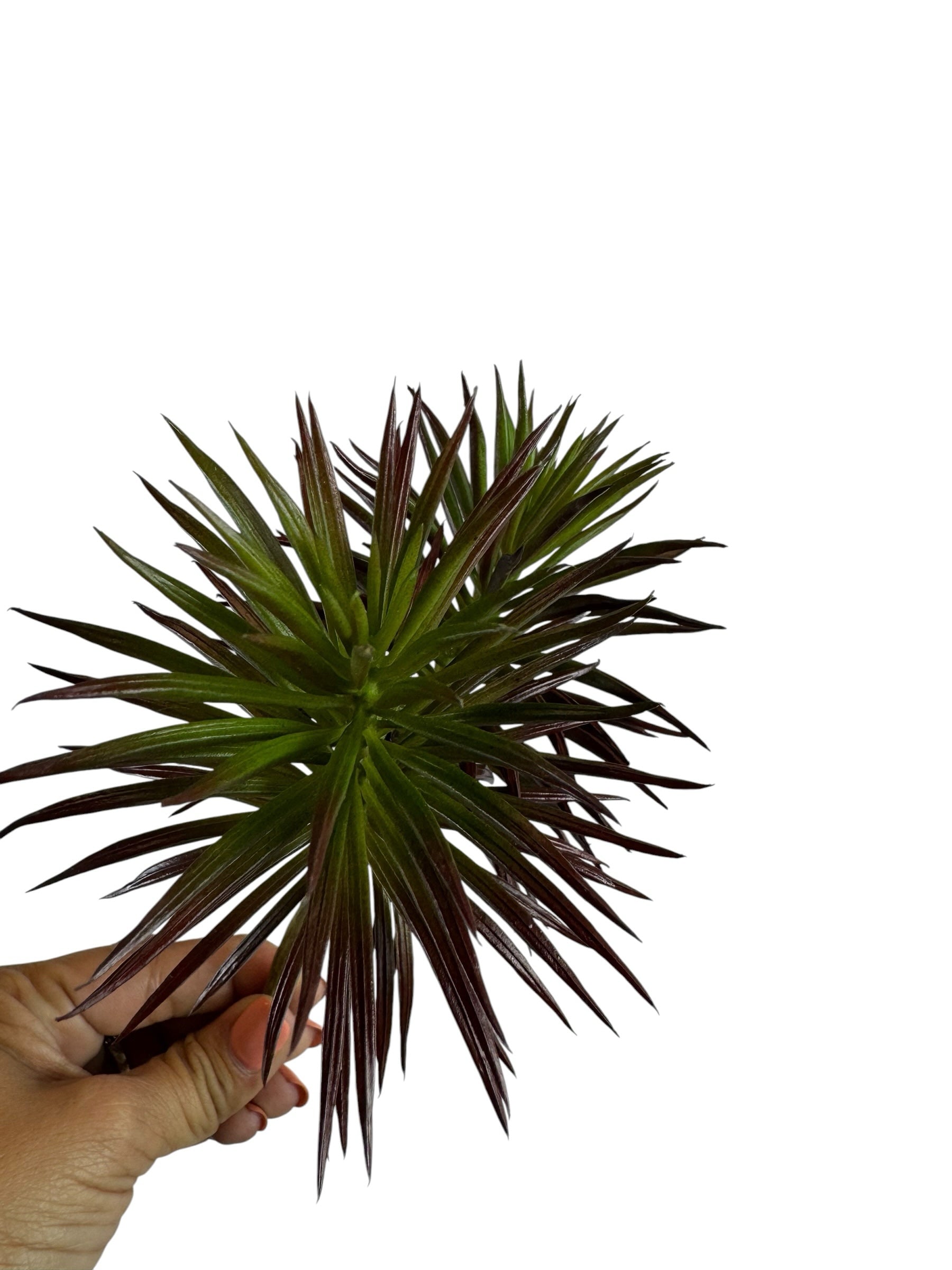 Artificial Bloom spiky succulent stem with vibrant green leaves and deep burgundy tips held in a hand