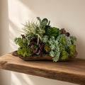 Artificial Bloom succulent arrangement featuring burgundy and green plants in a rustic natural driftwood base.